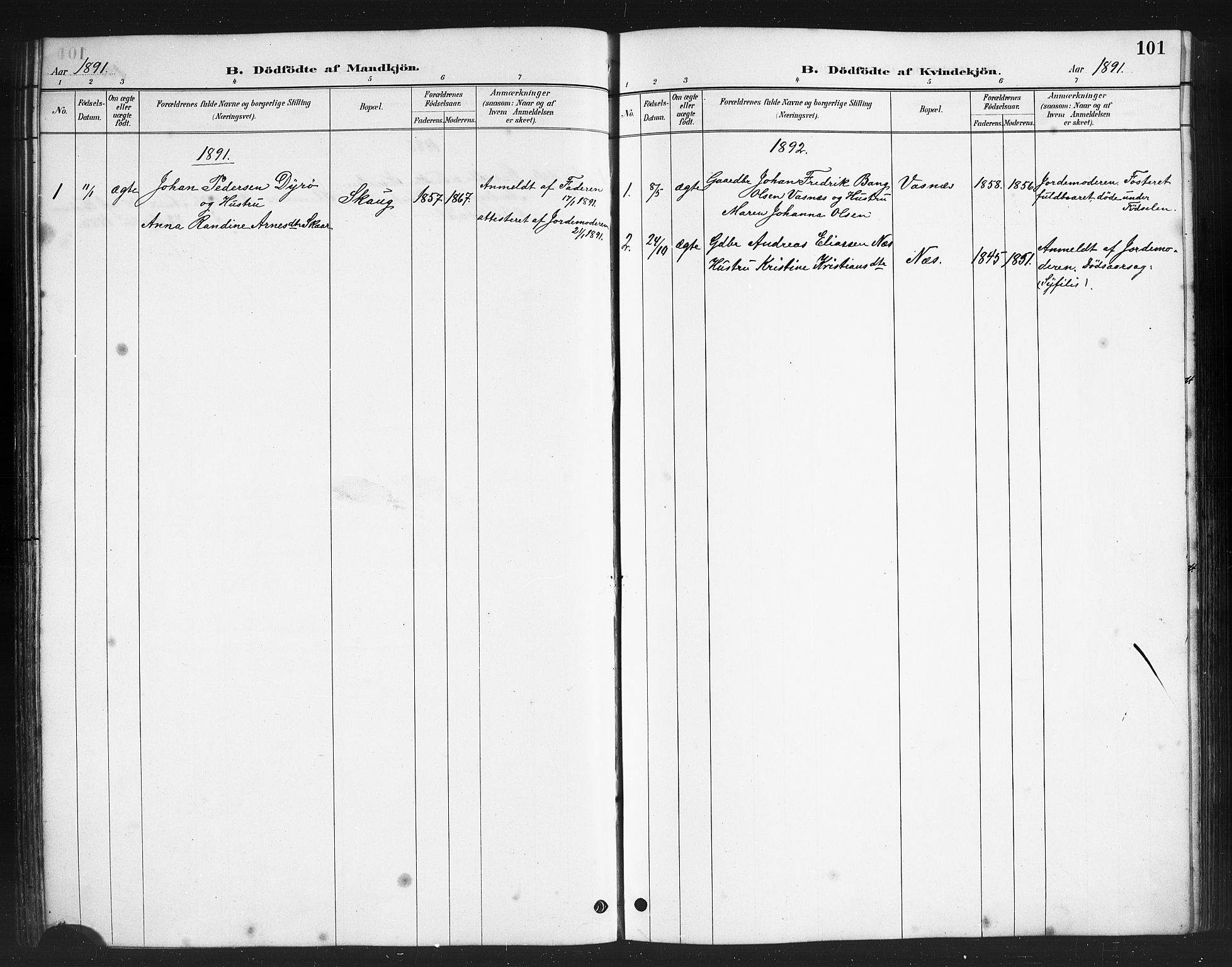 Ministerialprotokoller, klokkerbøker og fødselsregistre - Nordland, AV/SAT-A-1459/808/L0131: Parish register (copy) no. 808C02, 1879-1919, p. 101