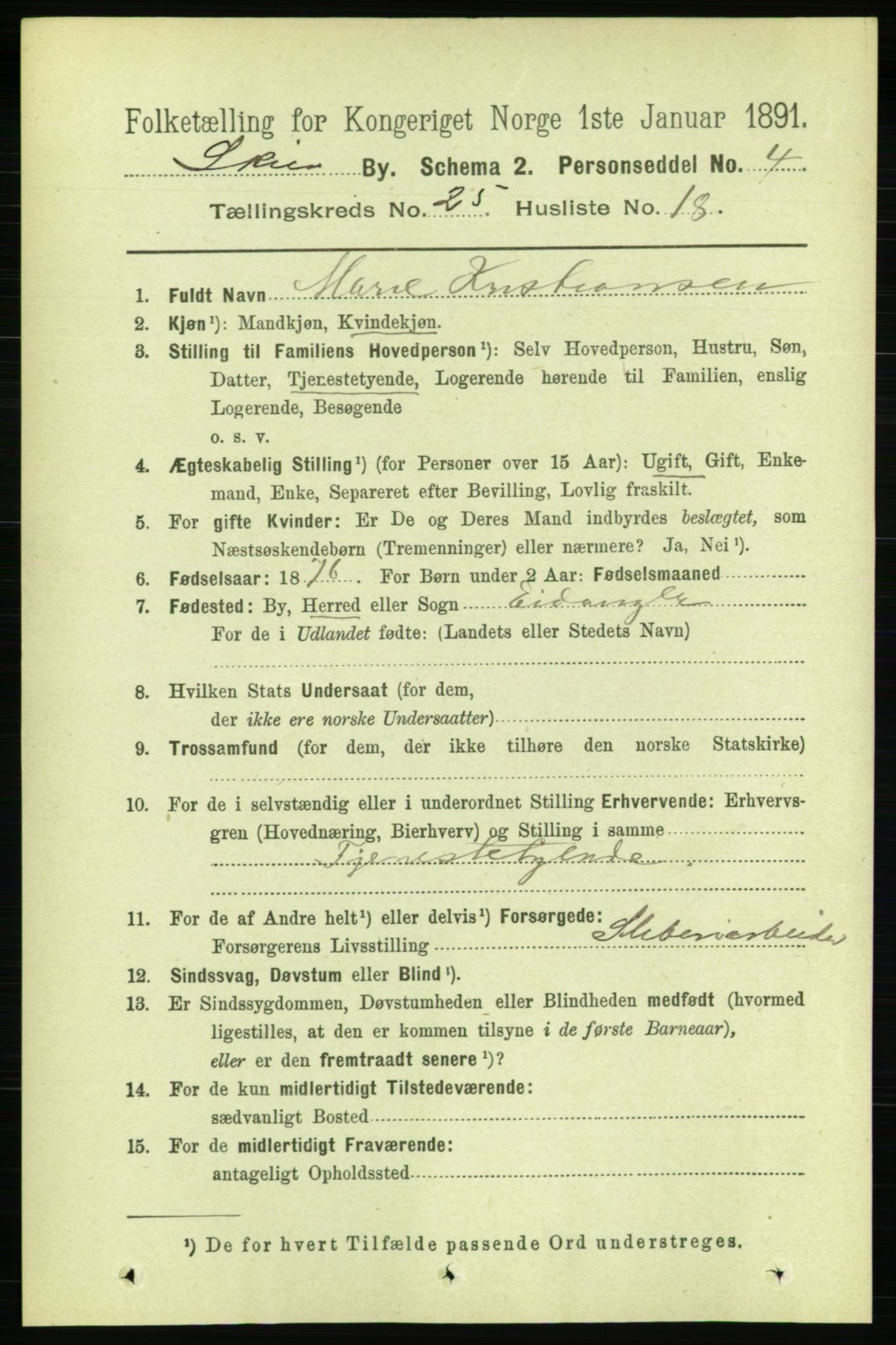 RA, 1891 census for 0806 Skien, 1891, p. 6163