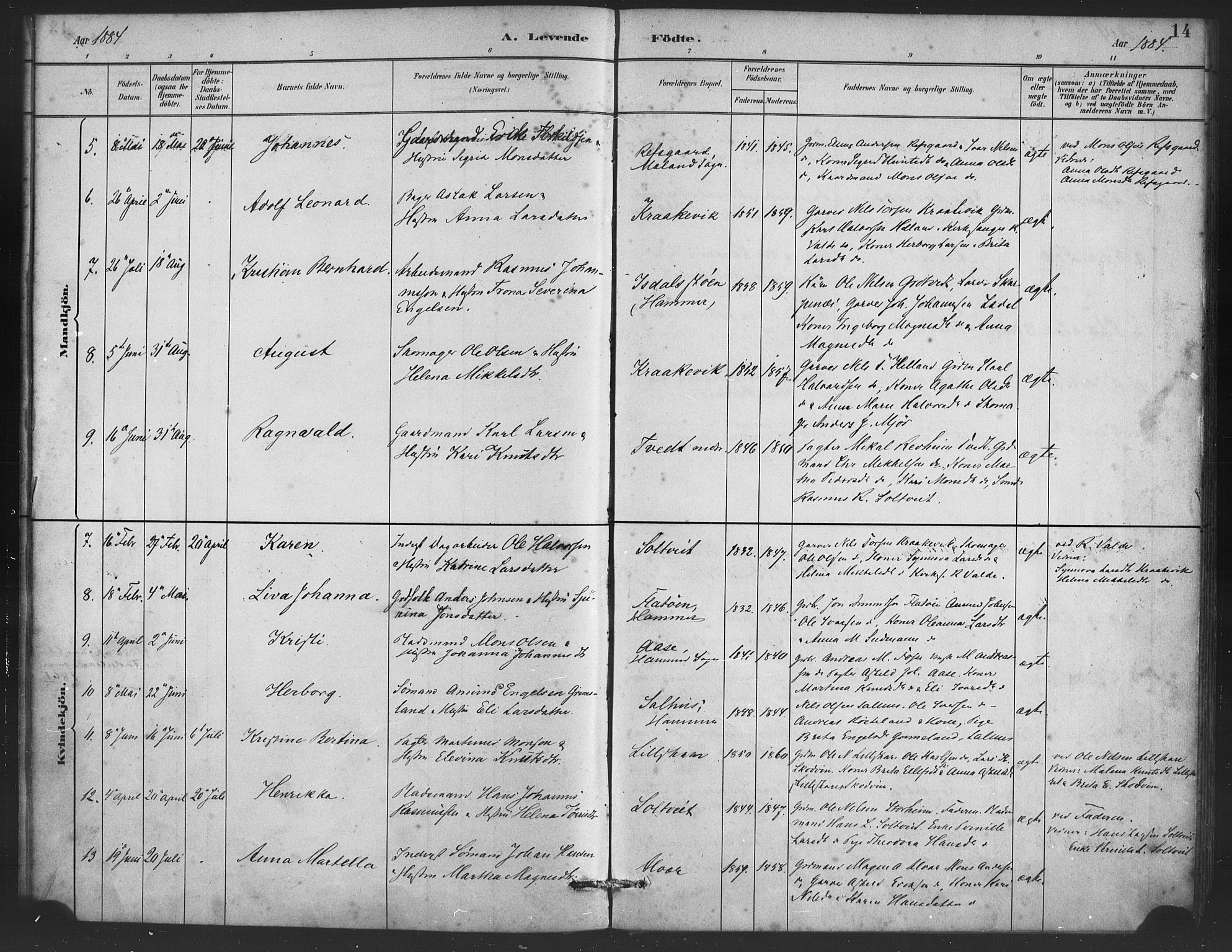 Alversund Sokneprestembete, AV/SAB-A-73901/H/Ha/Haa/Haaa/L0001: Parish register (official) no. A 1, 1882-1896, p. 14