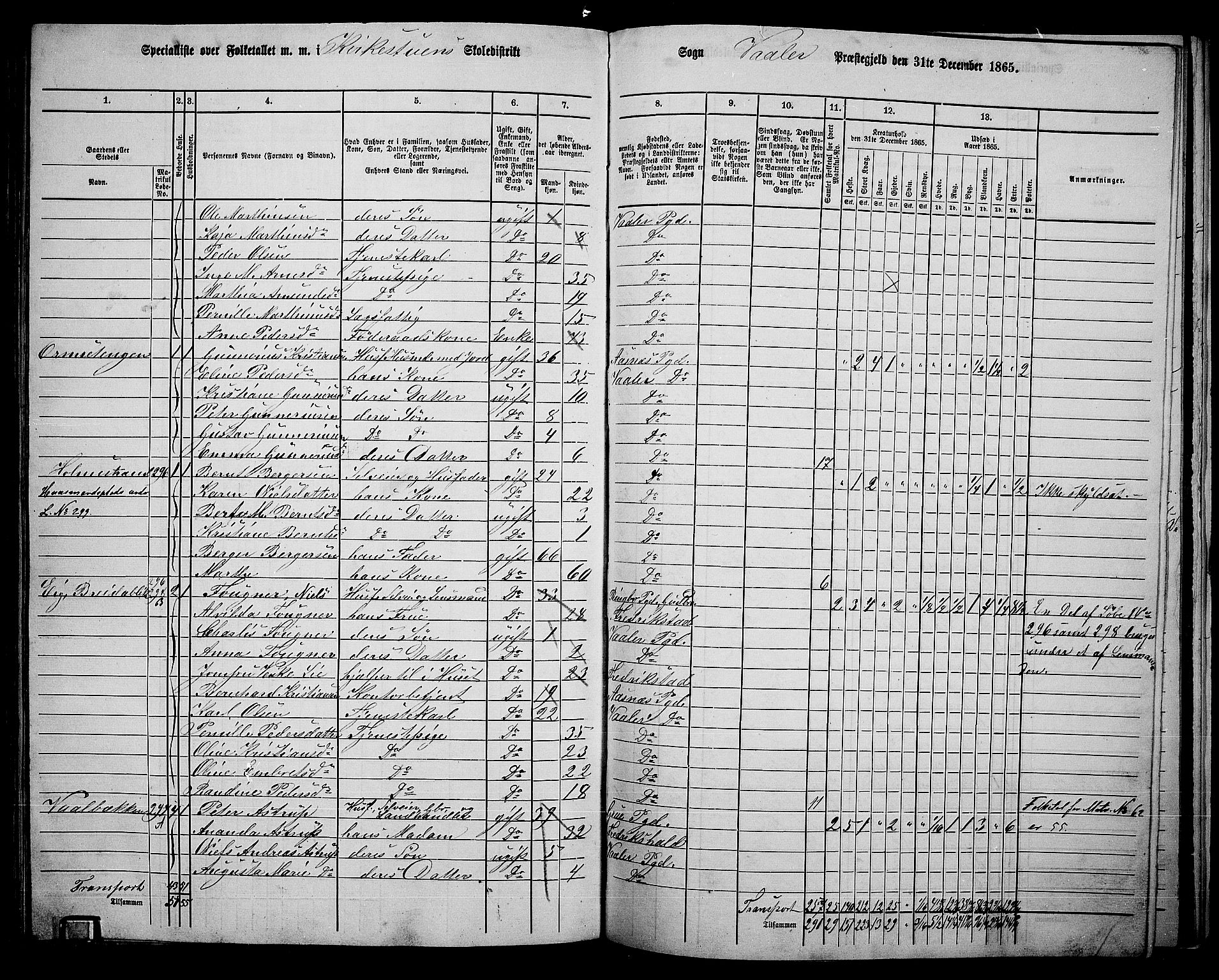 RA, 1865 census for Våler, 1865, p. 141