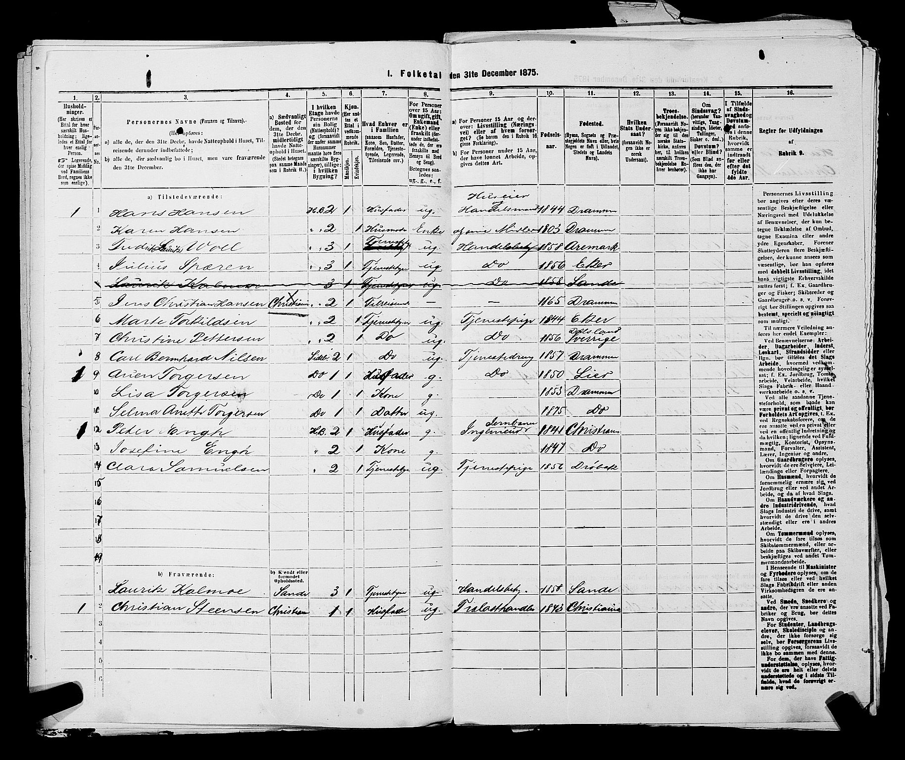 SAKO, 1875 census for 0602 Drammen, 1875, p. 1318