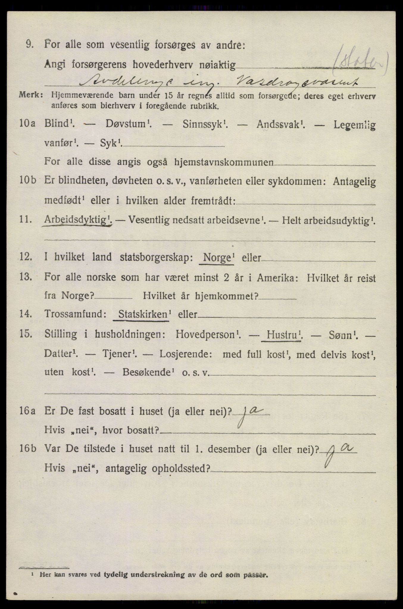 SAKO, 1920 census for Nore, 1920, p. 4011