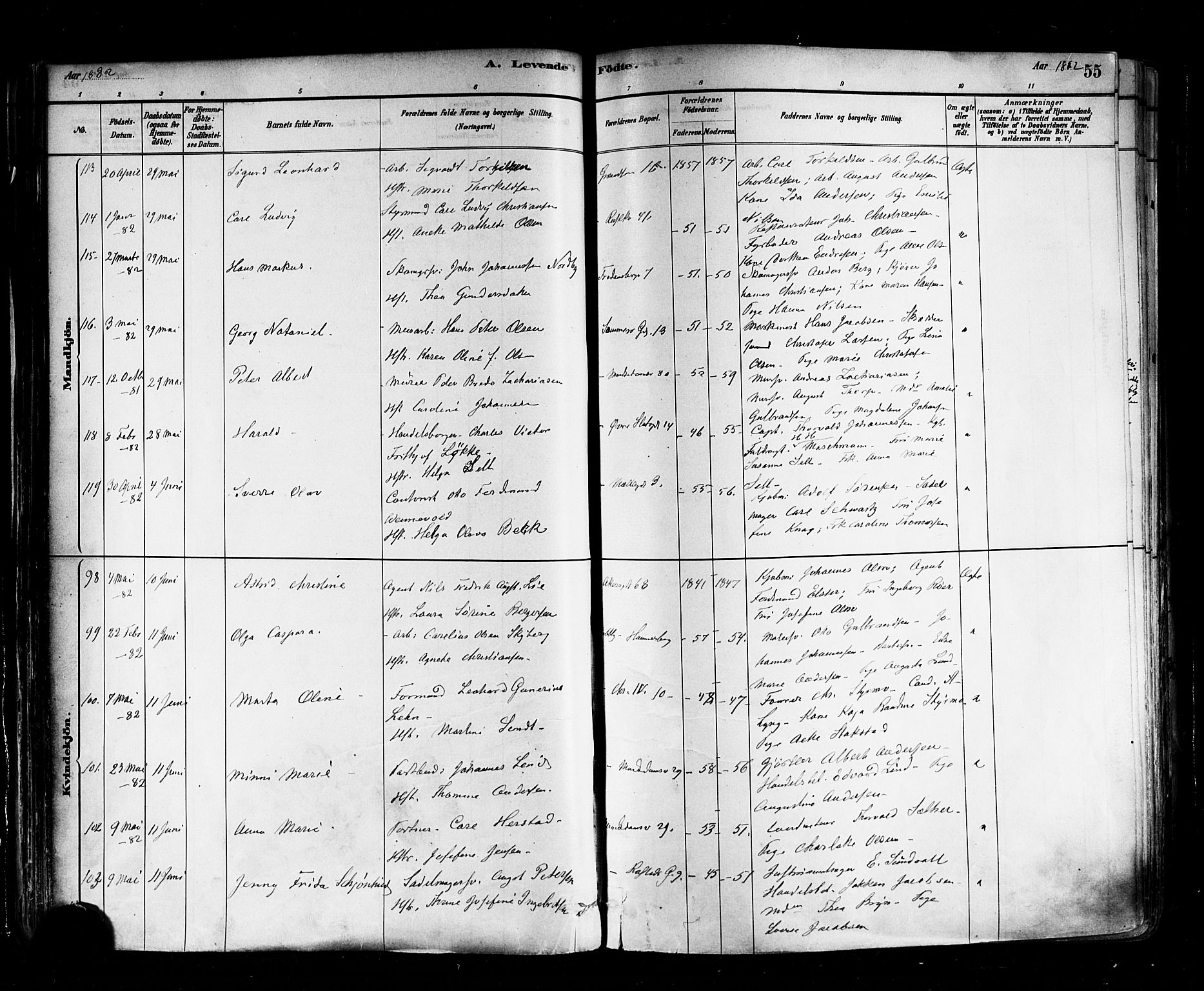 Trefoldighet prestekontor Kirkebøker, SAO/A-10882/F/Fa/L0005: Parish register (official) no. I 5, 1881-1891, p. 55