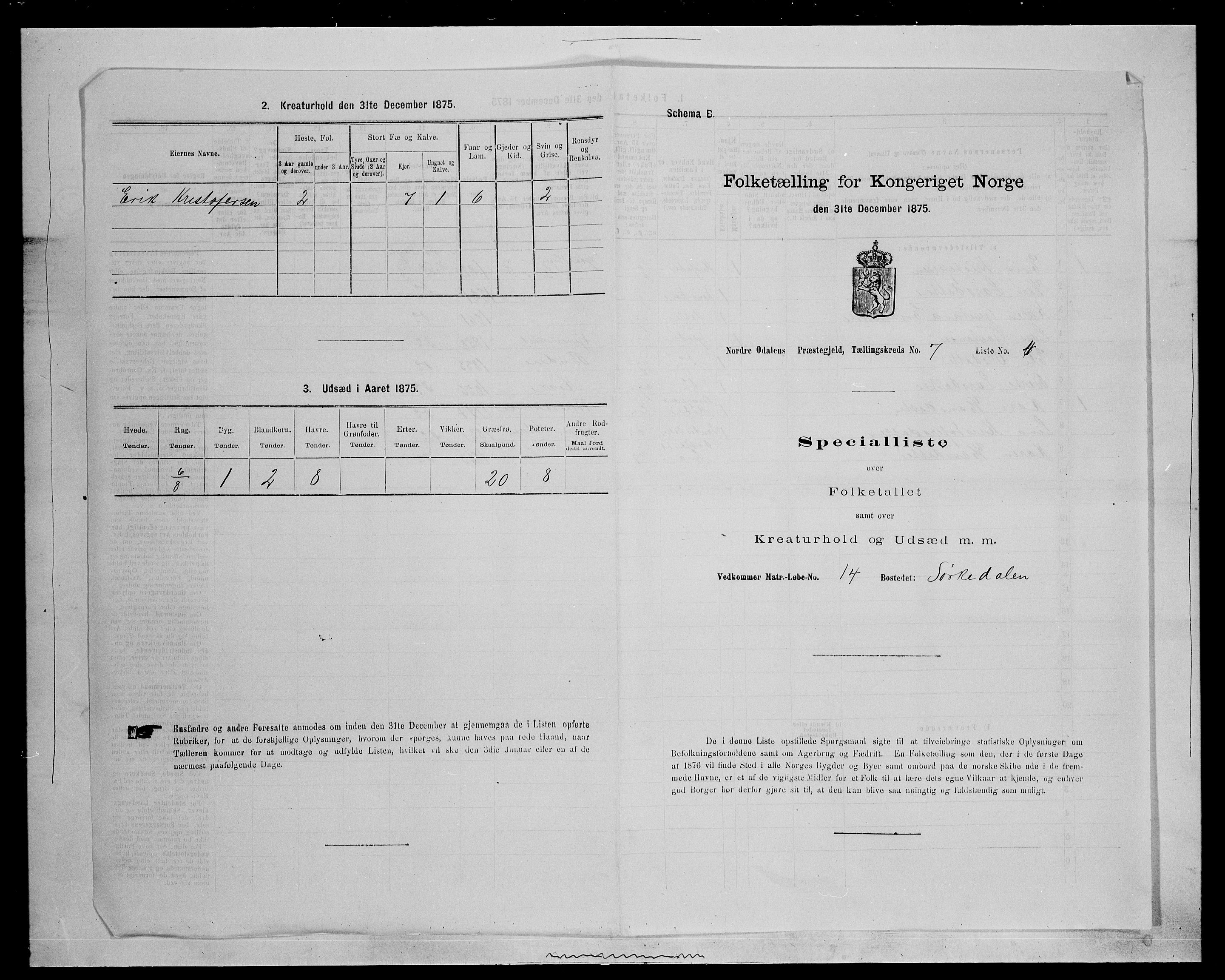 SAH, 1875 census for 0418P Nord-Odal, 1875, p. 1176