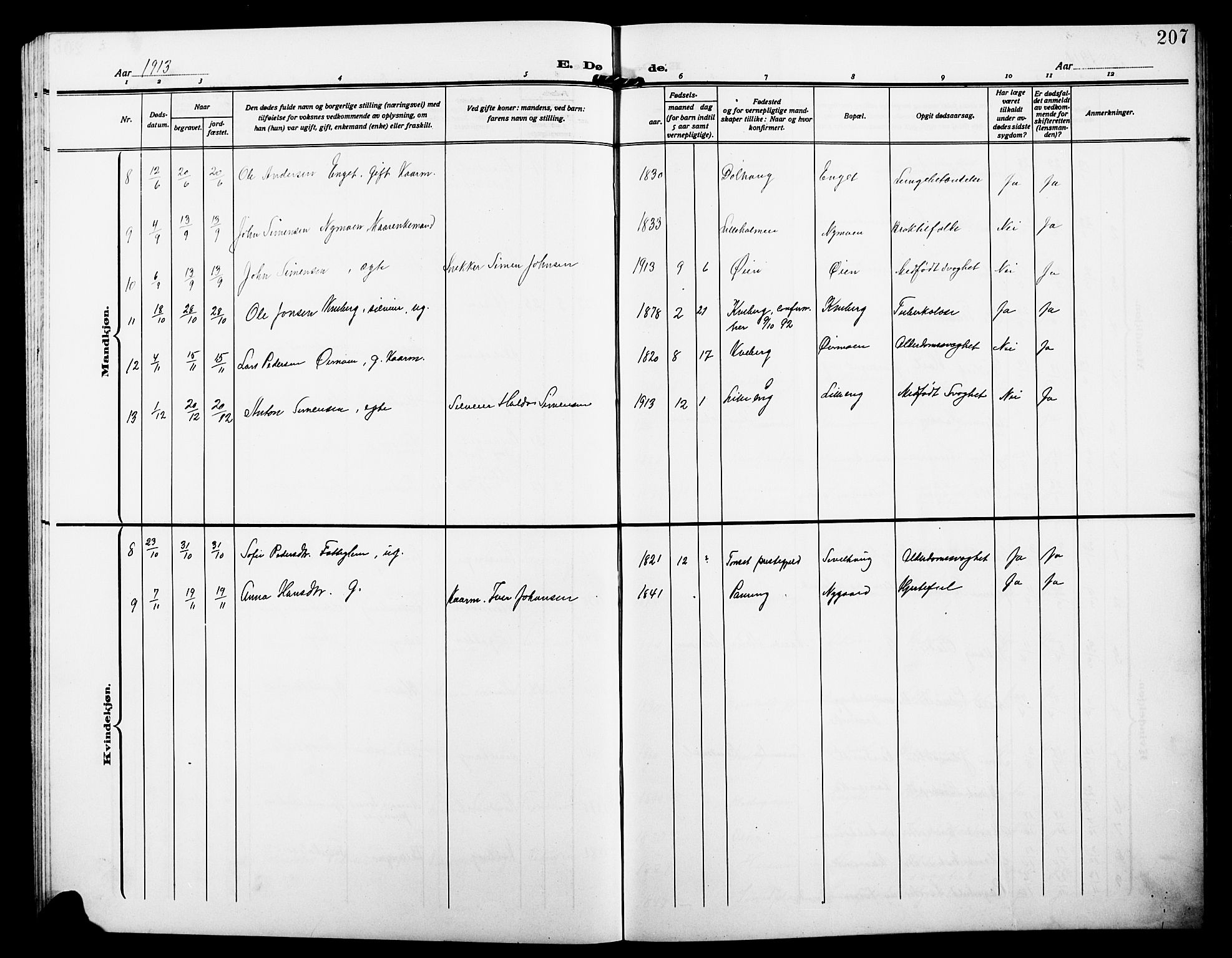 Alvdal prestekontor, AV/SAH-PREST-060/H/Ha/Hab/L0005: Parish register (copy) no. 5, 1908-1923, p. 207