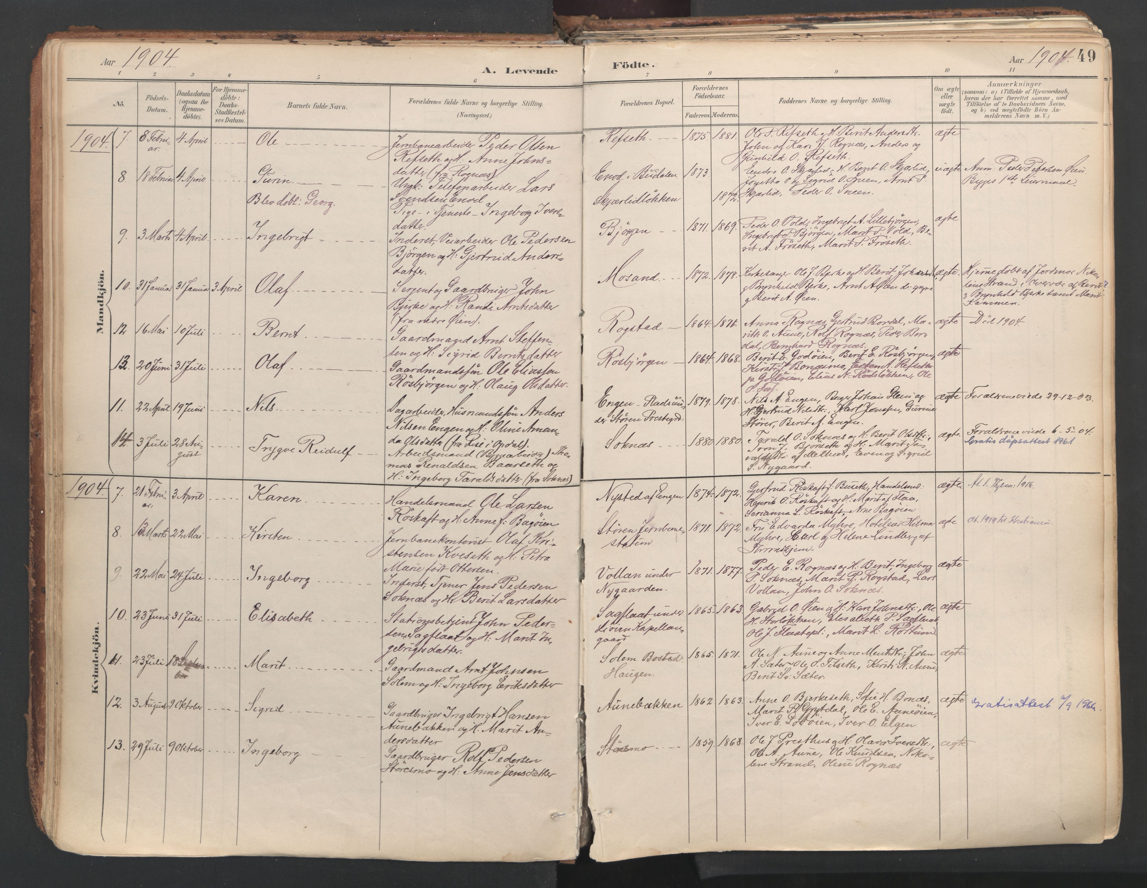 Ministerialprotokoller, klokkerbøker og fødselsregistre - Sør-Trøndelag, AV/SAT-A-1456/687/L1004: Parish register (official) no. 687A10, 1891-1923, p. 49