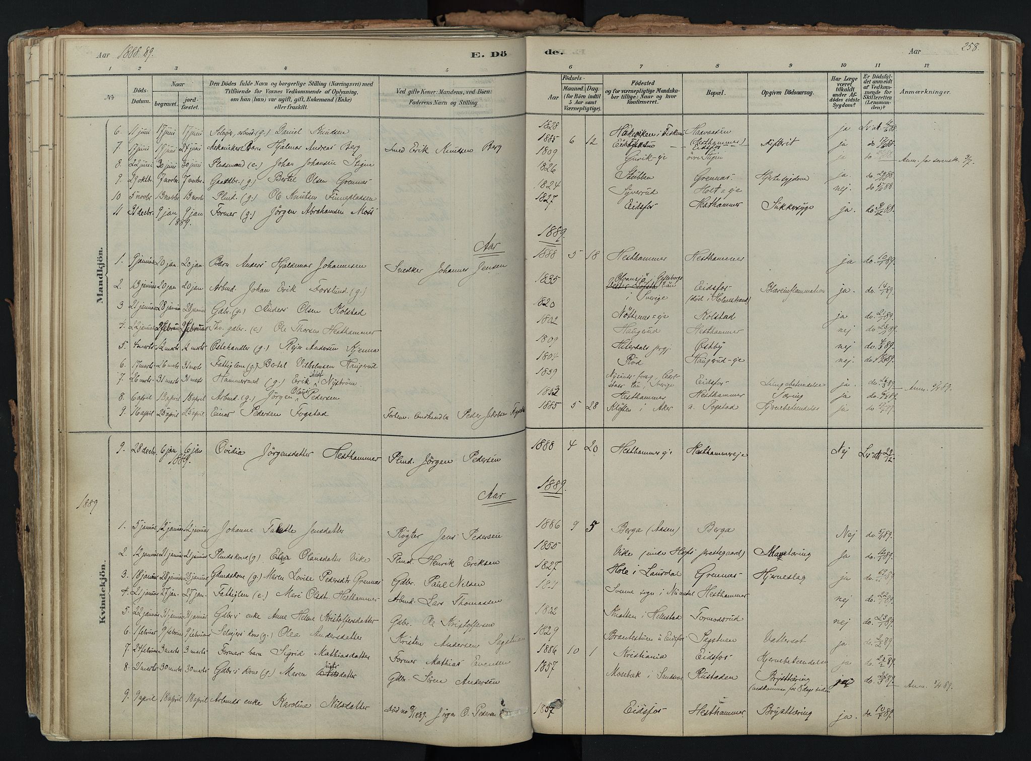 Hof kirkebøker, AV/SAKO-A-64/F/Fa/L0007: Parish register (official) no. I 7, 1878-1940, p. 258