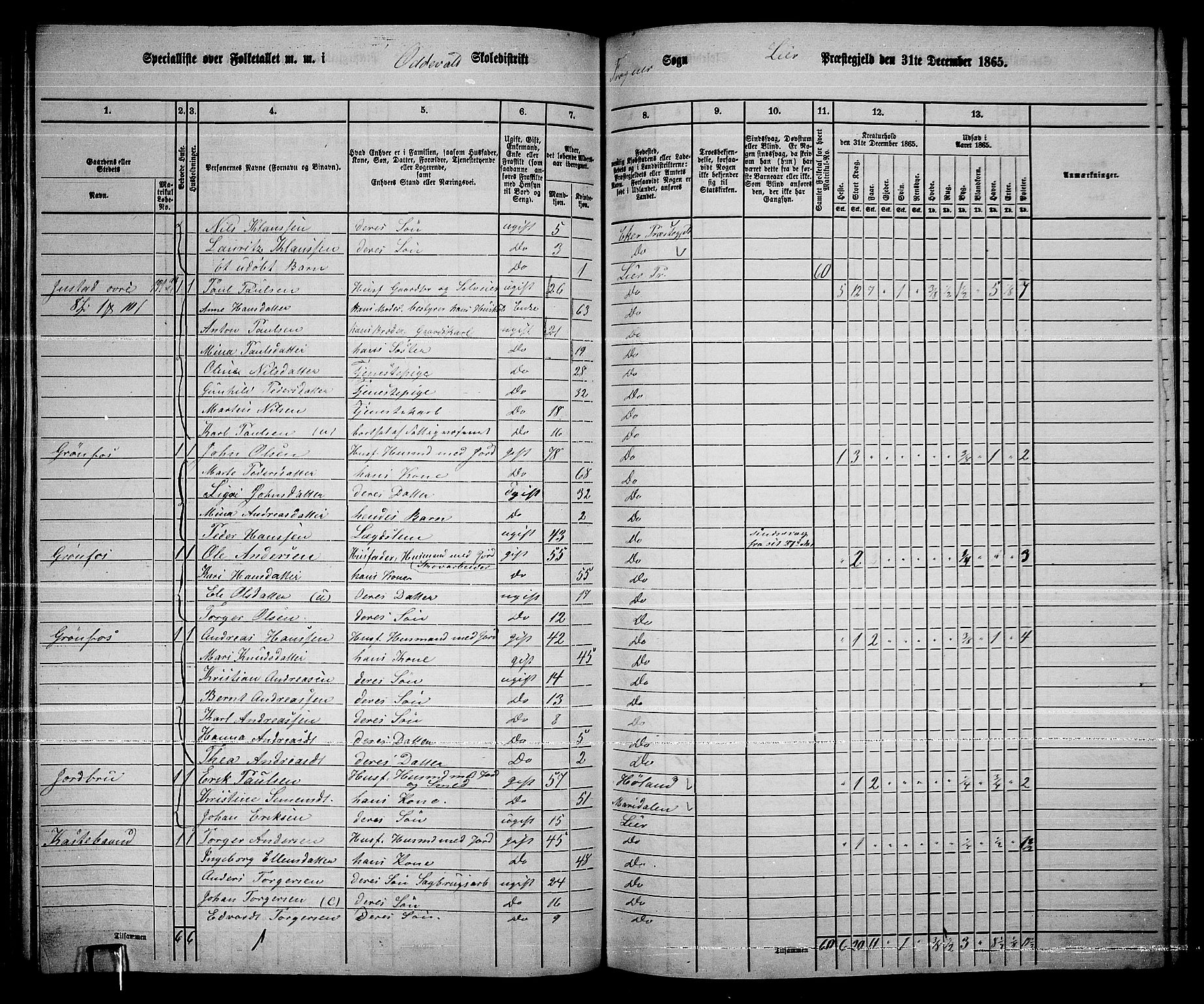 RA, 1865 census for Lier, 1865, p. 116