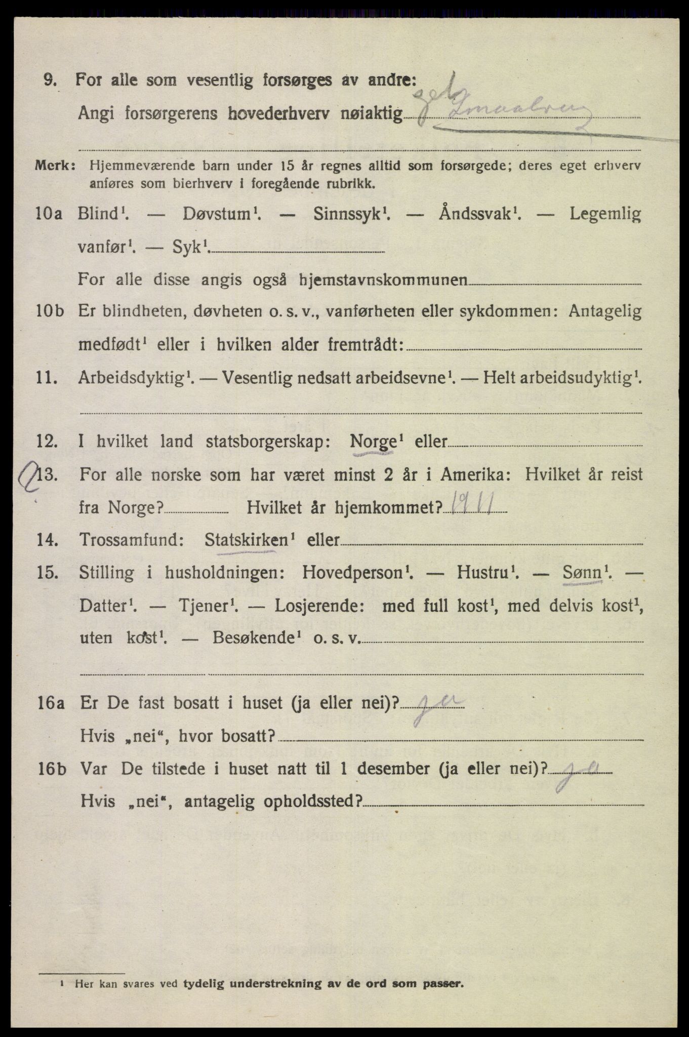 SAK, 1920 census for Nes (V-A), 1920, p. 5915