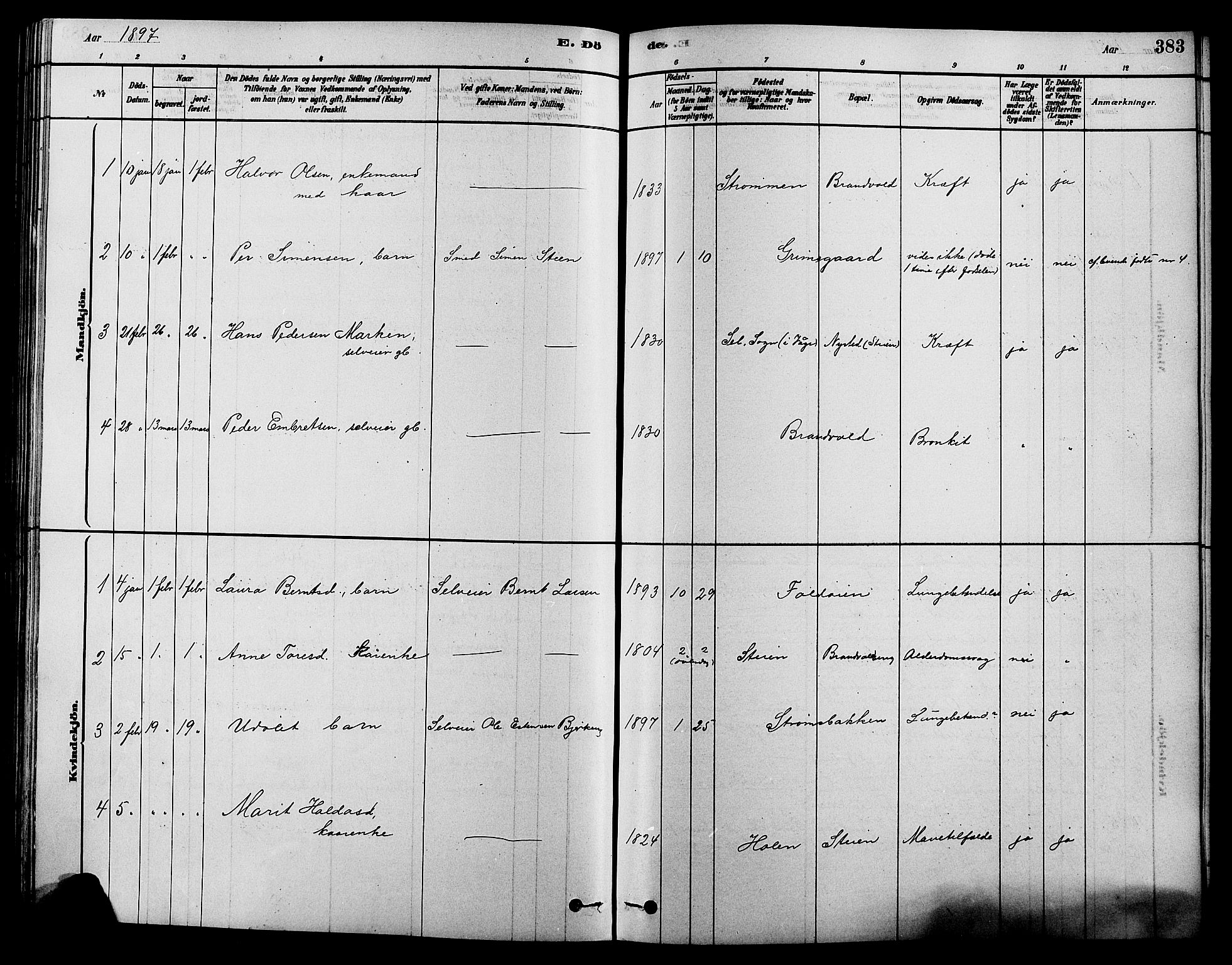 Alvdal prestekontor, SAH/PREST-060/H/Ha/Hab/L0003: Parish register (copy) no. 3, 1878-1907, p. 383