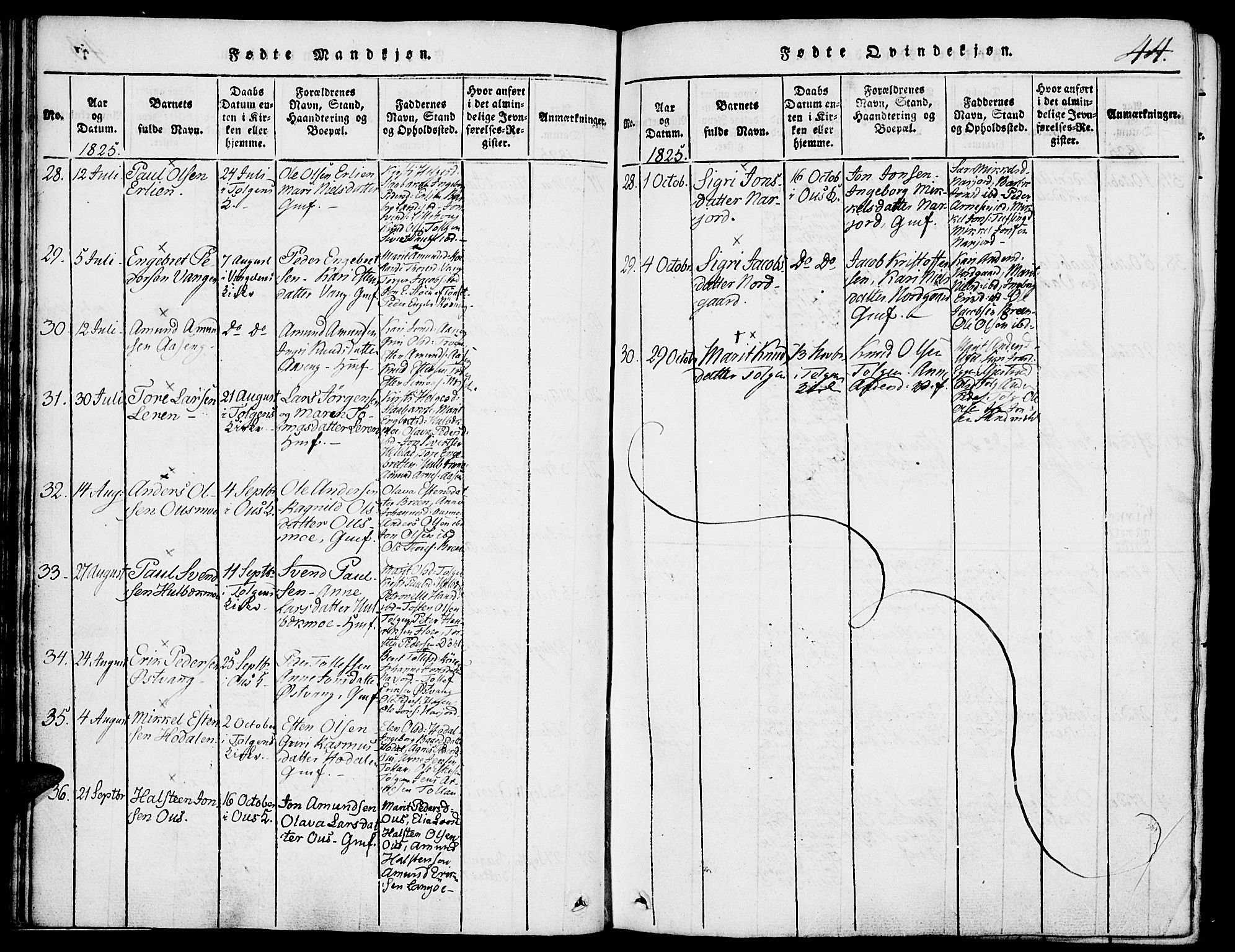 Tolga prestekontor, AV/SAH-PREST-062/K/L0004: Parish register (official) no. 4, 1815-1836, p. 44