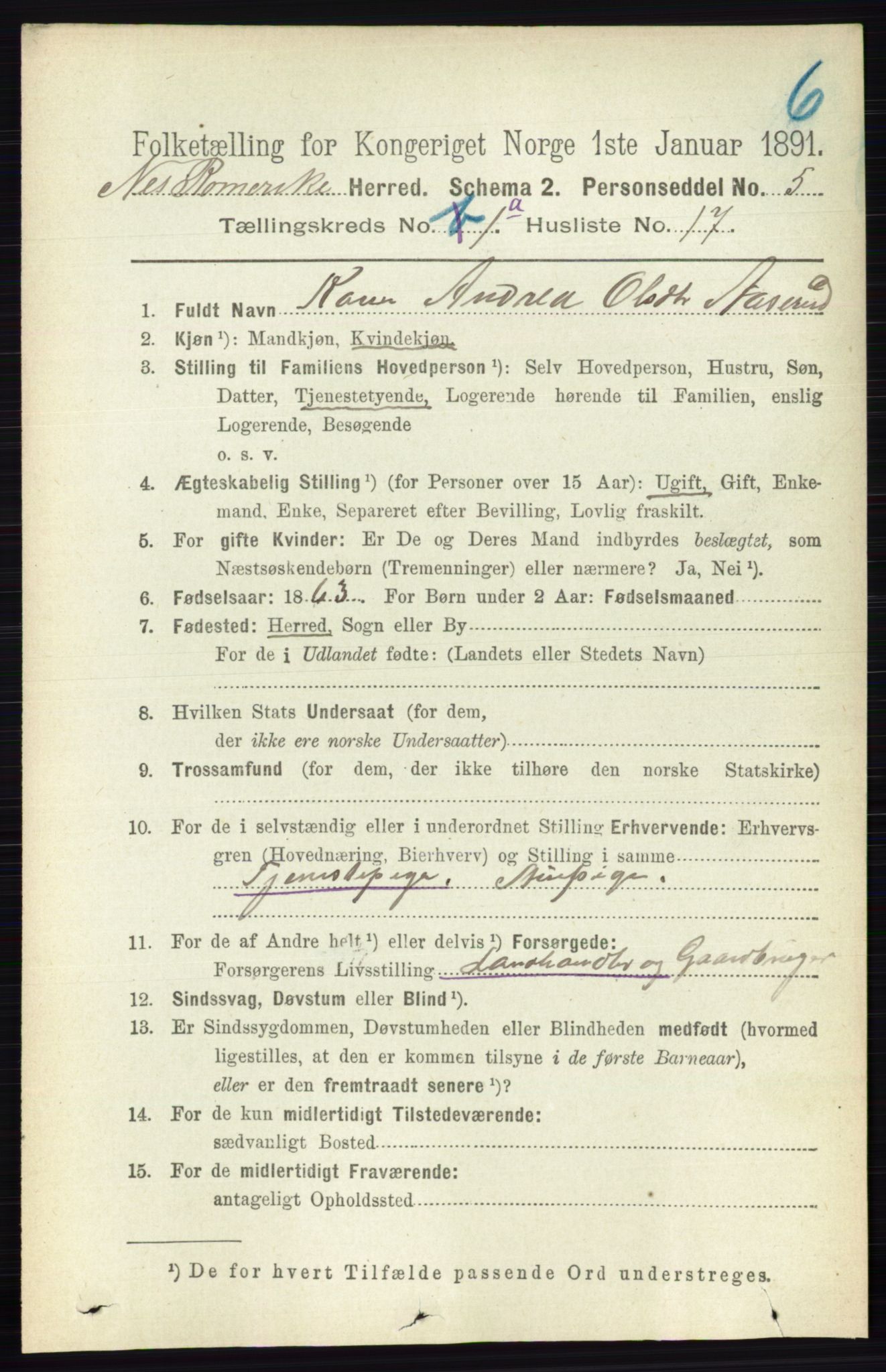 RA, 1891 census for 0236 Nes, 1891, p. 220