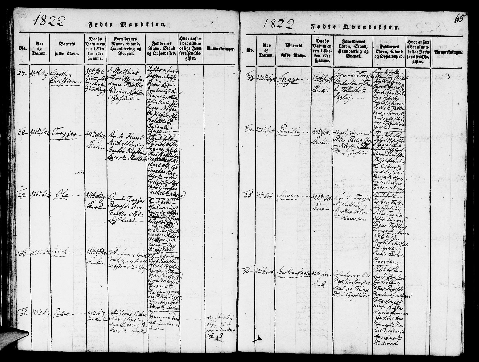 Eigersund sokneprestkontor, AV/SAST-A-101807/S09/L0001: Parish register (copy) no. B 1, 1815-1827, p. 65