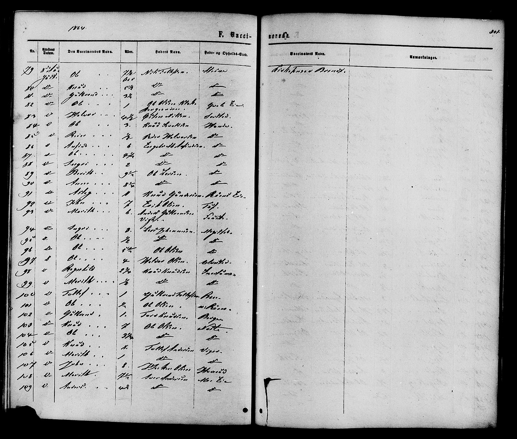 Vestre Slidre prestekontor, AV/SAH-PREST-136/H/Ha/Haa/L0003: Parish register (official) no. 3, 1865-1880, p. 301