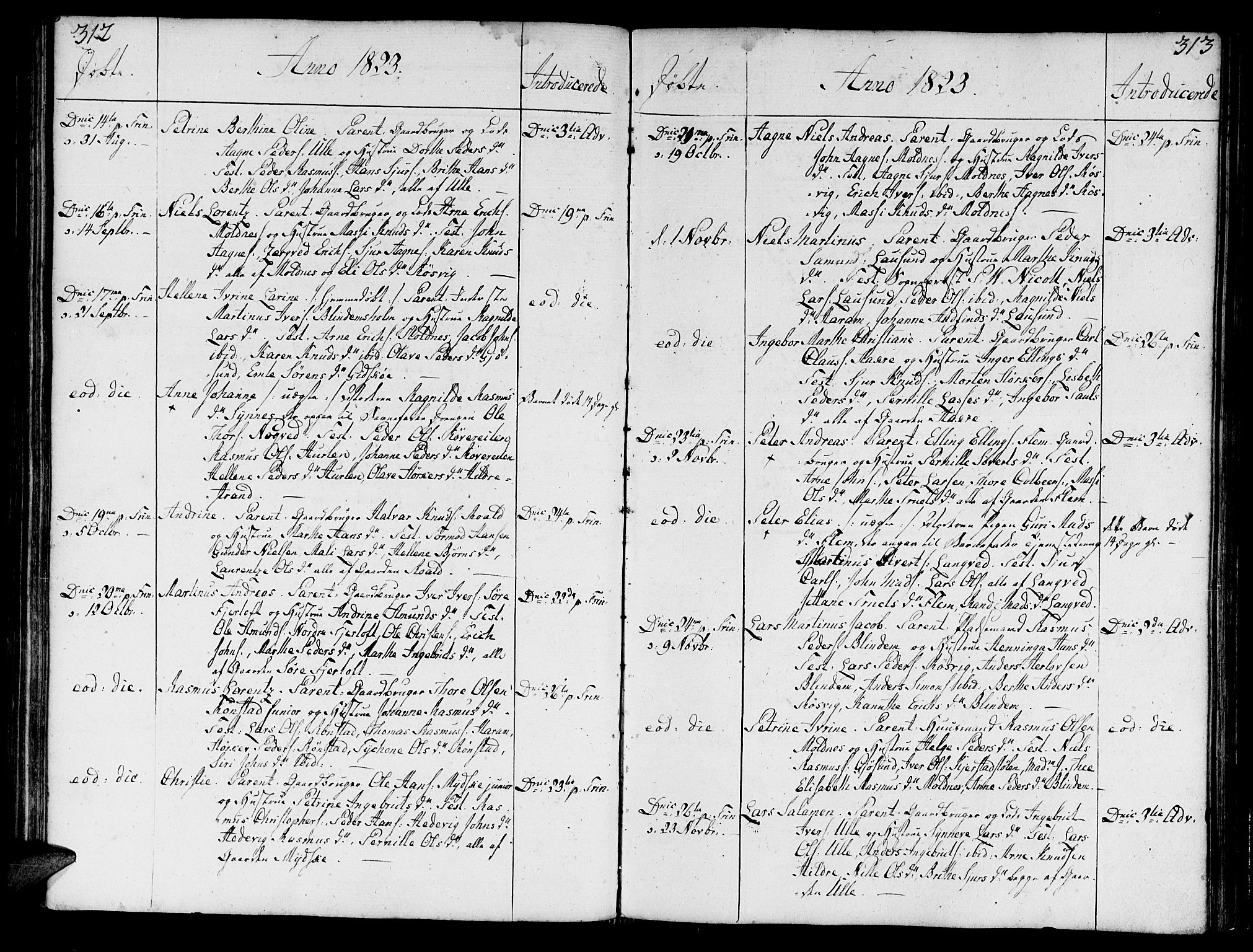 Ministerialprotokoller, klokkerbøker og fødselsregistre - Møre og Romsdal, AV/SAT-A-1454/536/L0494: Parish register (official) no. 536A03, 1803-1836, p. 312-313