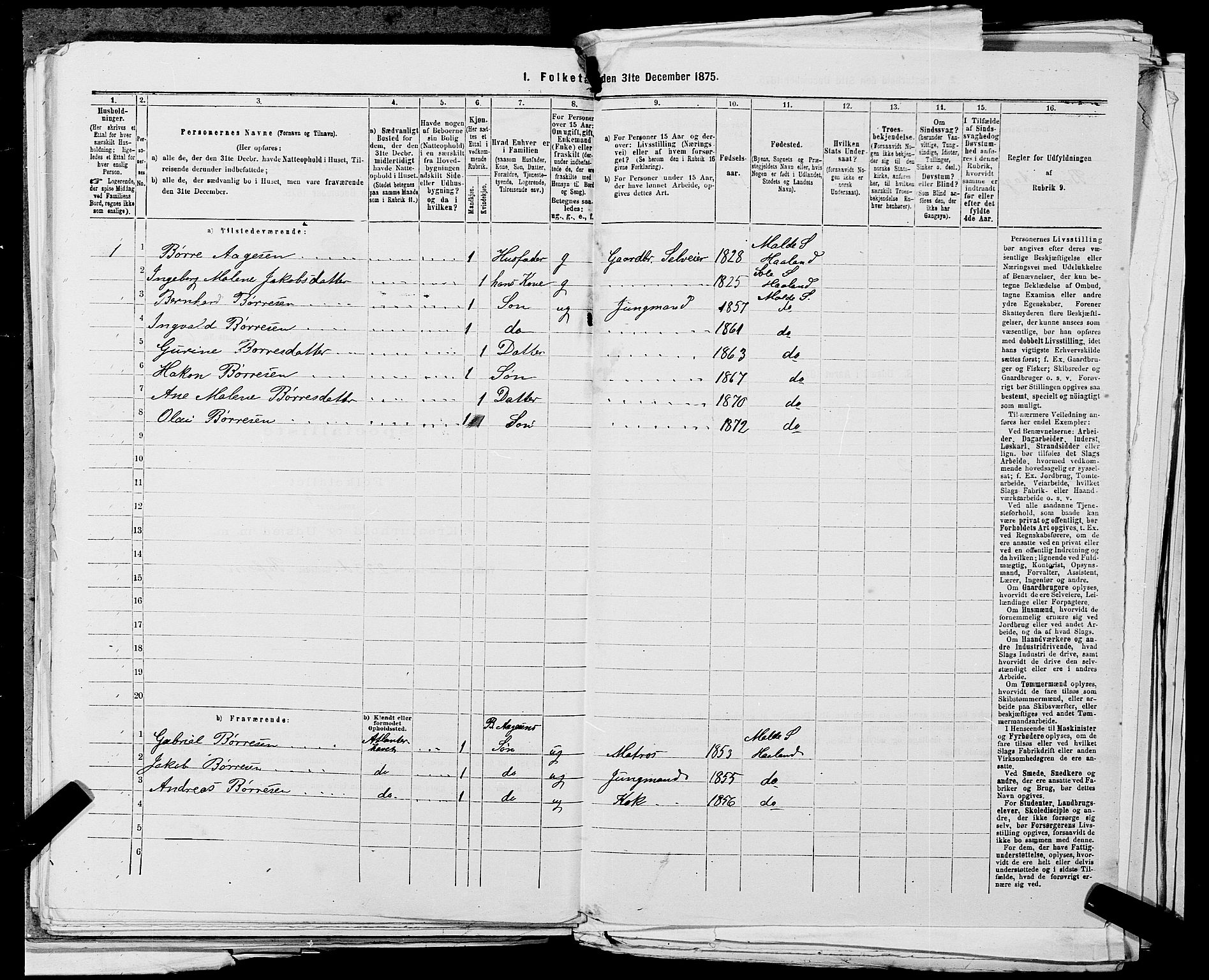 SAST, 1875 census for 1124P Håland, 1875, p. 1005