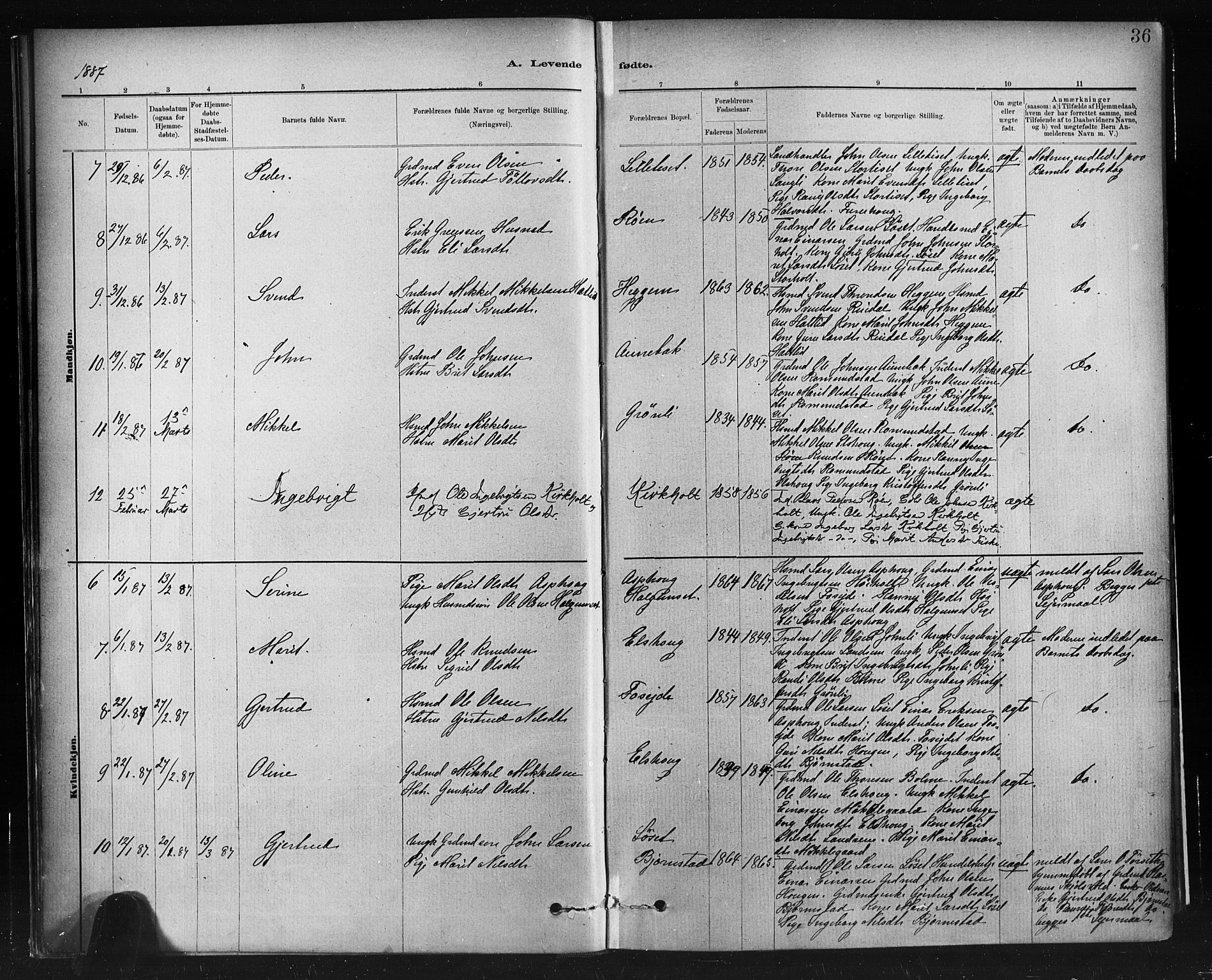 Ministerialprotokoller, klokkerbøker og fødselsregistre - Møre og Romsdal, AV/SAT-A-1454/598/L1069: Parish register (official) no. 598A03, 1882-1895, p. 36