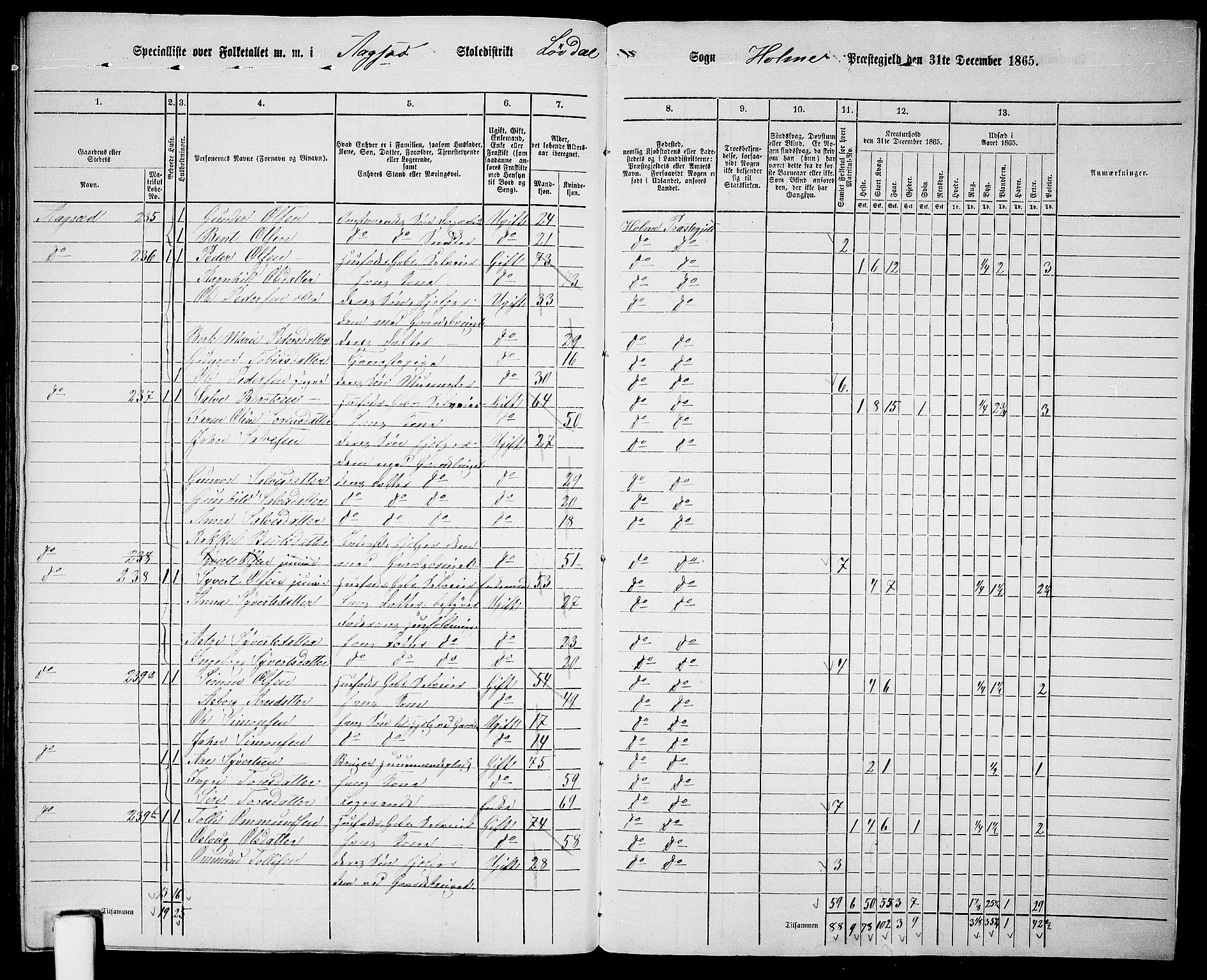 RA, 1865 census for Holum, 1865, p. 175