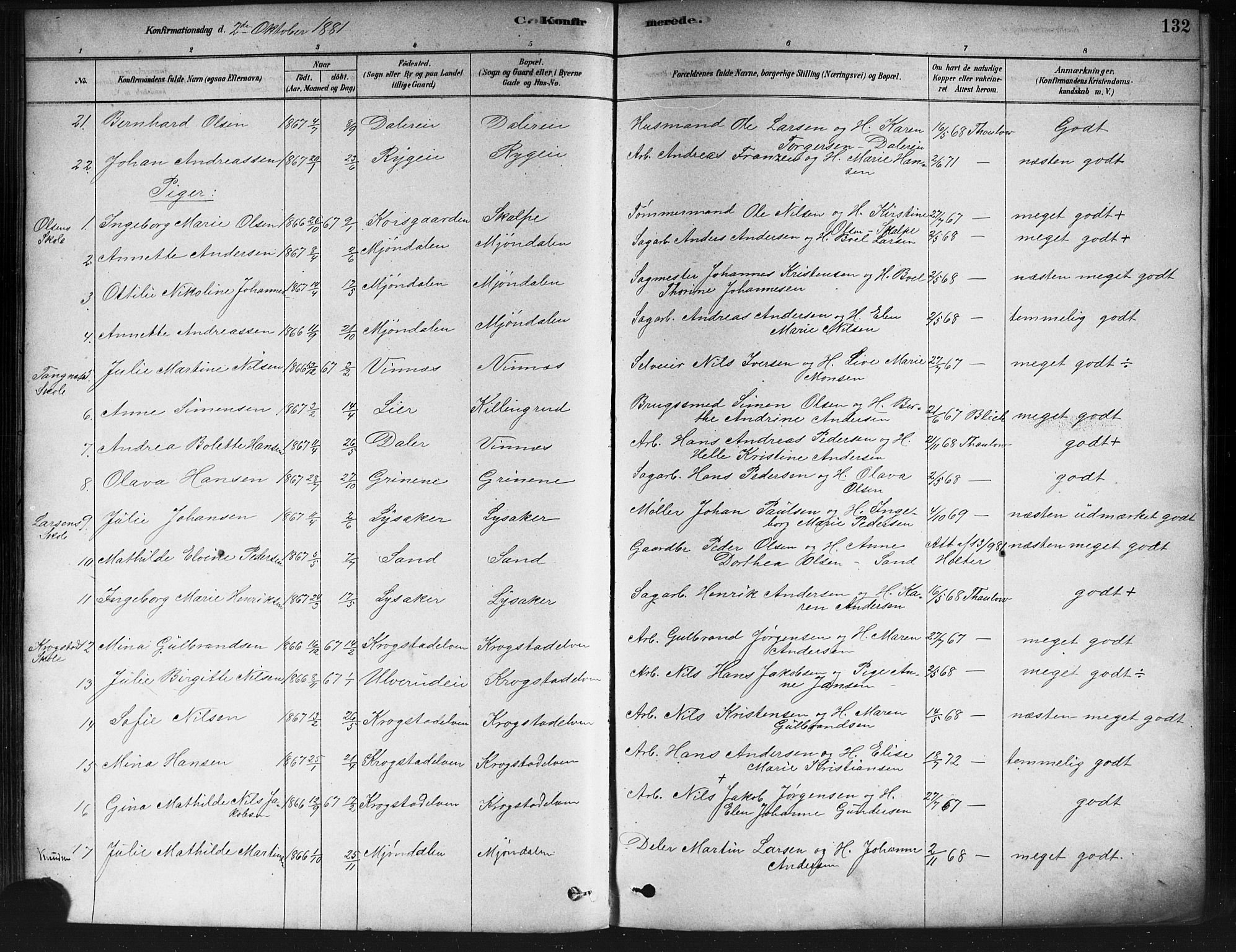Nedre Eiker kirkebøker, SAKO/A-612/F/Fa/L0002: Parish register (official) no. 2, 1878-1885, p. 132