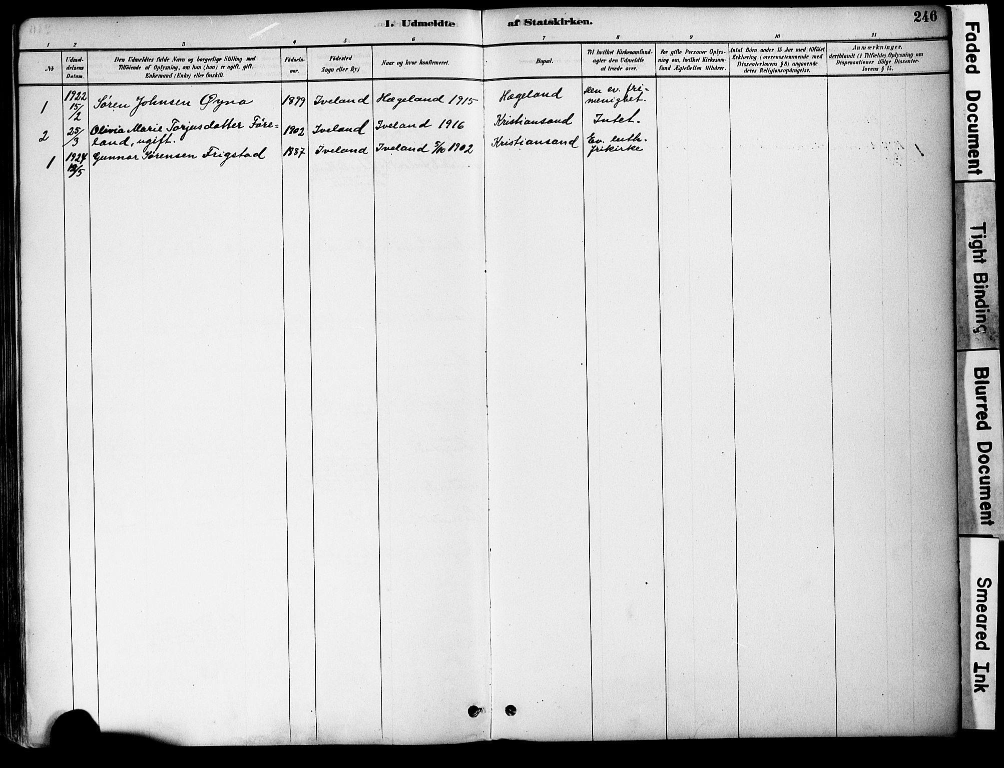 Evje sokneprestkontor, AV/SAK-1111-0008/F/Fa/Fac/L0003: Parish register (official) no. A 3, 1884-1909, p. 246