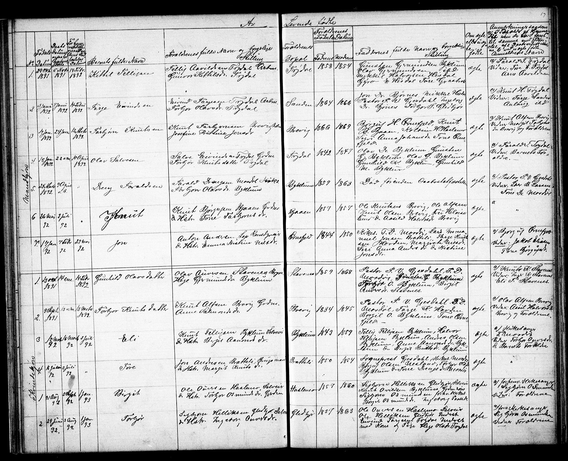 Valle sokneprestkontor, SAK/1111-0044/F/Fb/Fba/L0002: Parish register (copy) no. B 2, 1882-1894, p. 17