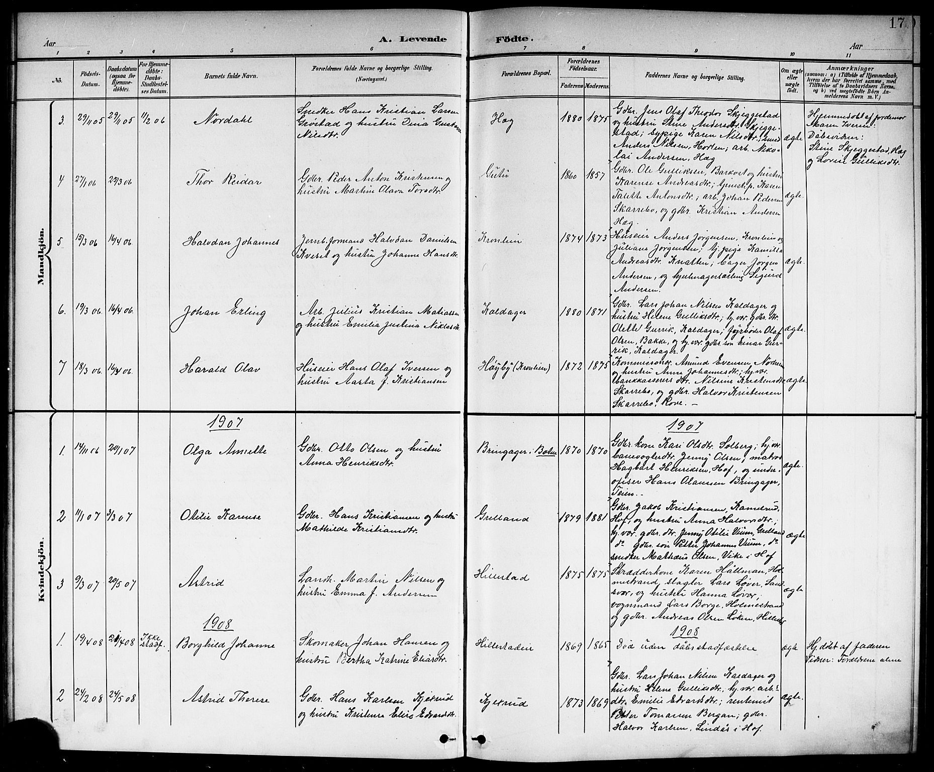 Botne kirkebøker, SAKO/A-340/G/Gb/L0004: Parish register (copy) no. II 3, 1899-1917, p. 17