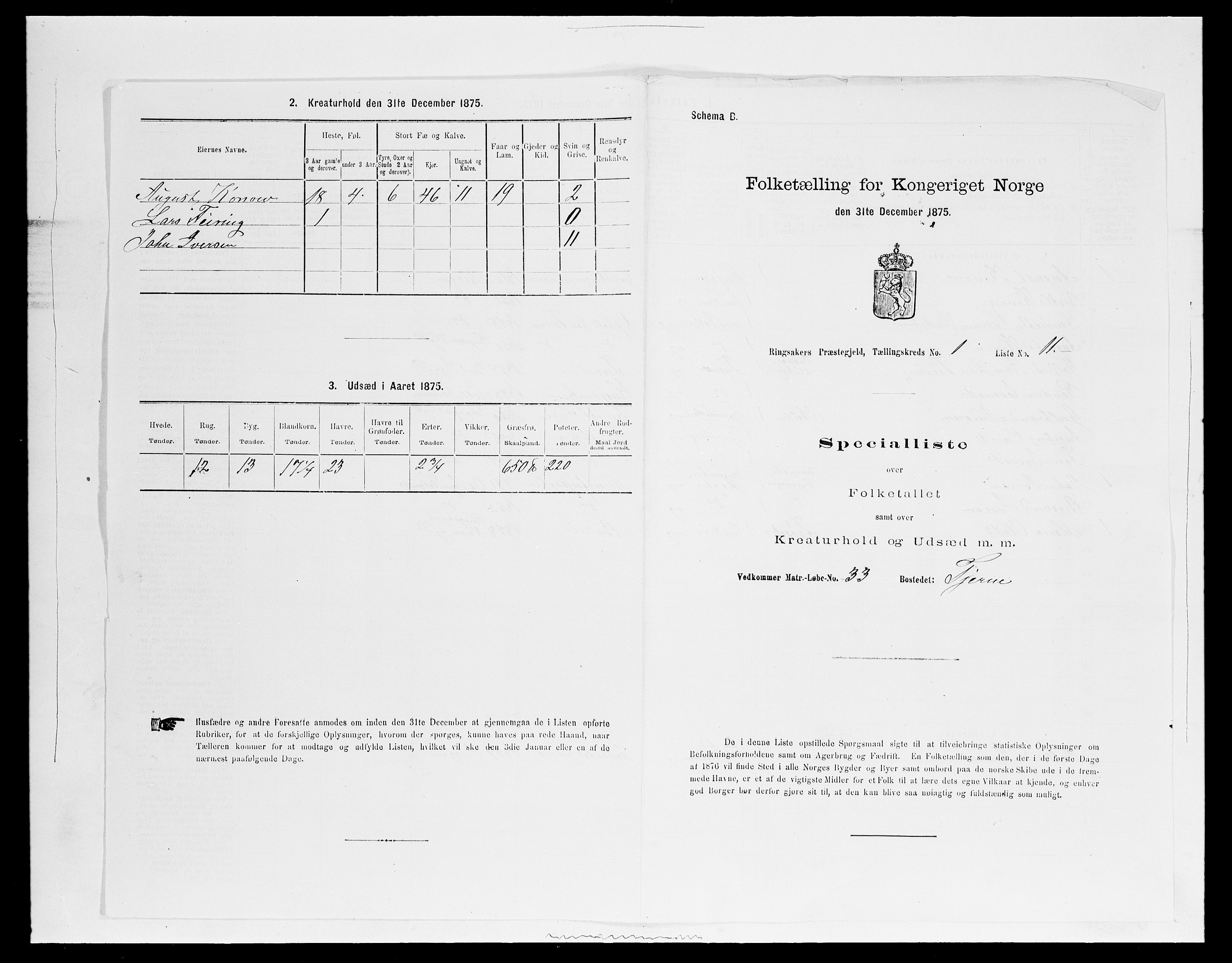 SAH, 1875 census for 0412P Ringsaker, 1875, p. 245