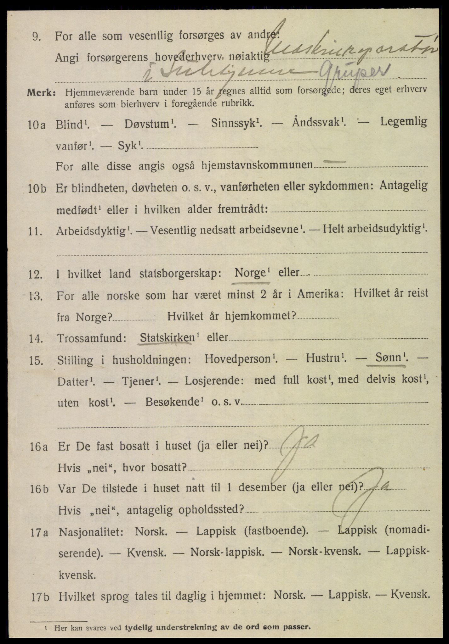 SAT, 1920 census for Fauske, 1920, p. 4163