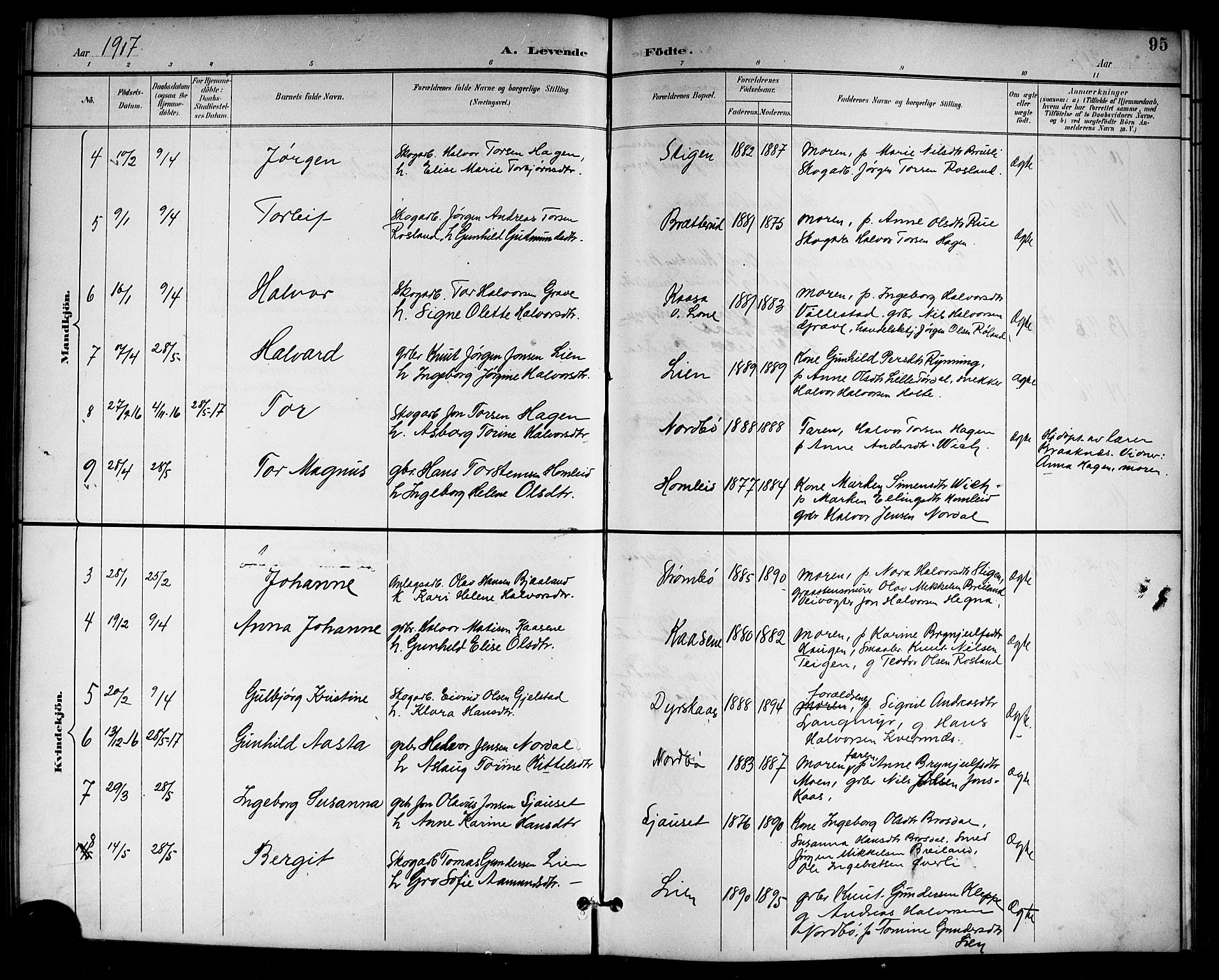 Drangedal kirkebøker, SAKO/A-258/G/Gb/L0002: Parish register (copy) no. II 2, 1895-1918, p. 95