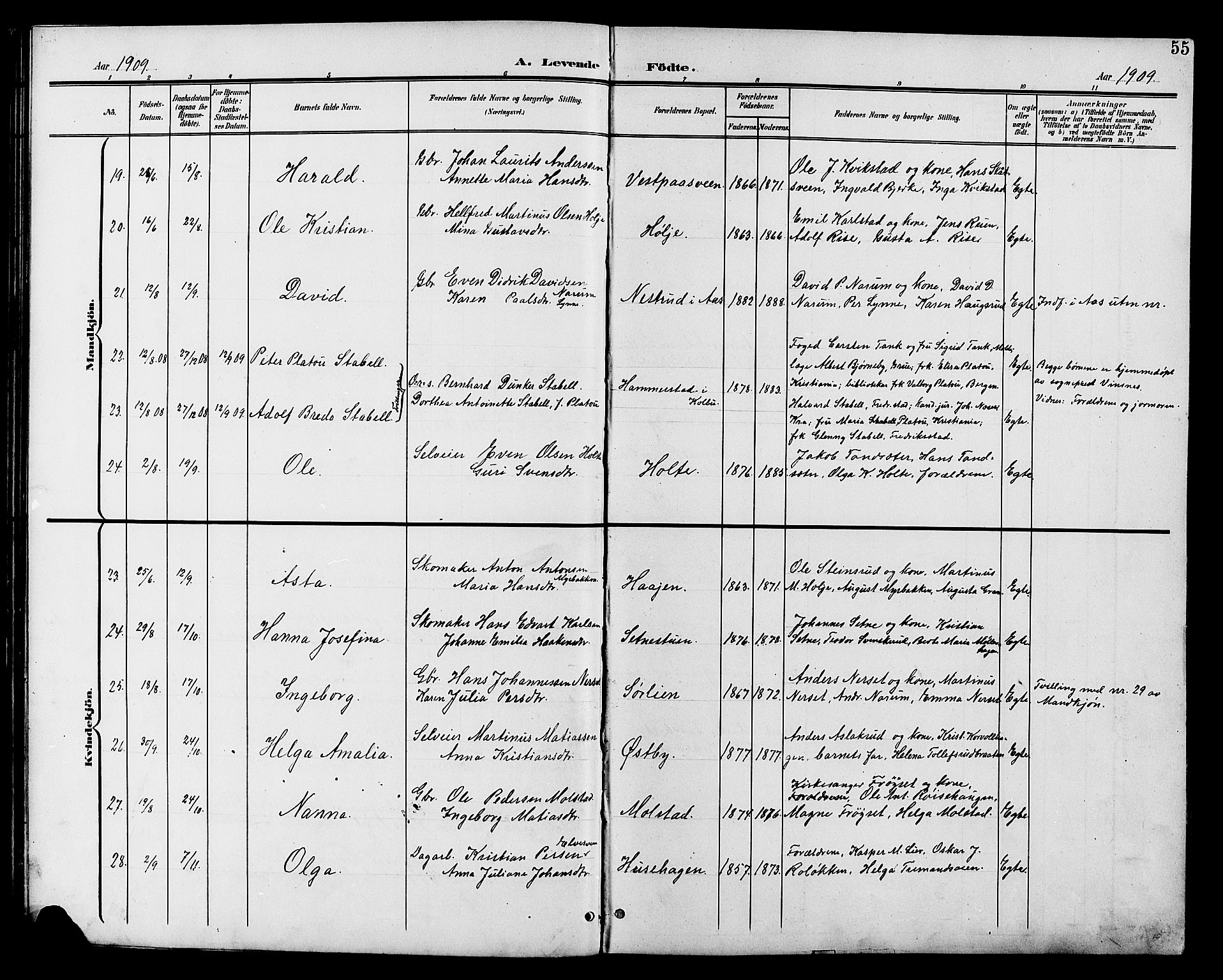 Vestre Toten prestekontor, AV/SAH-PREST-108/H/Ha/Hab/L0011: Parish register (copy) no. 11, 1901-1911, p. 55