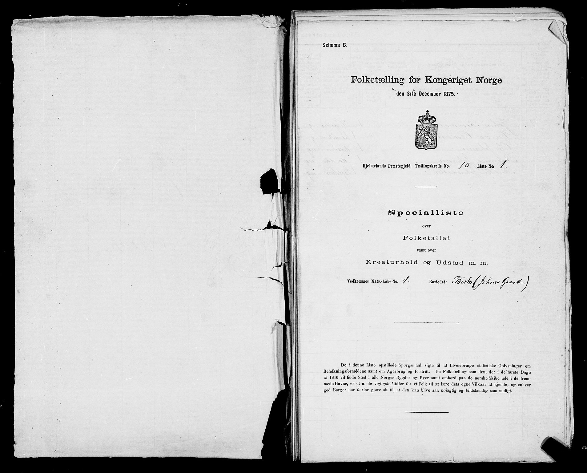 SAST, 1875 census for 1133P Hjelmeland, 1875, p. 1211