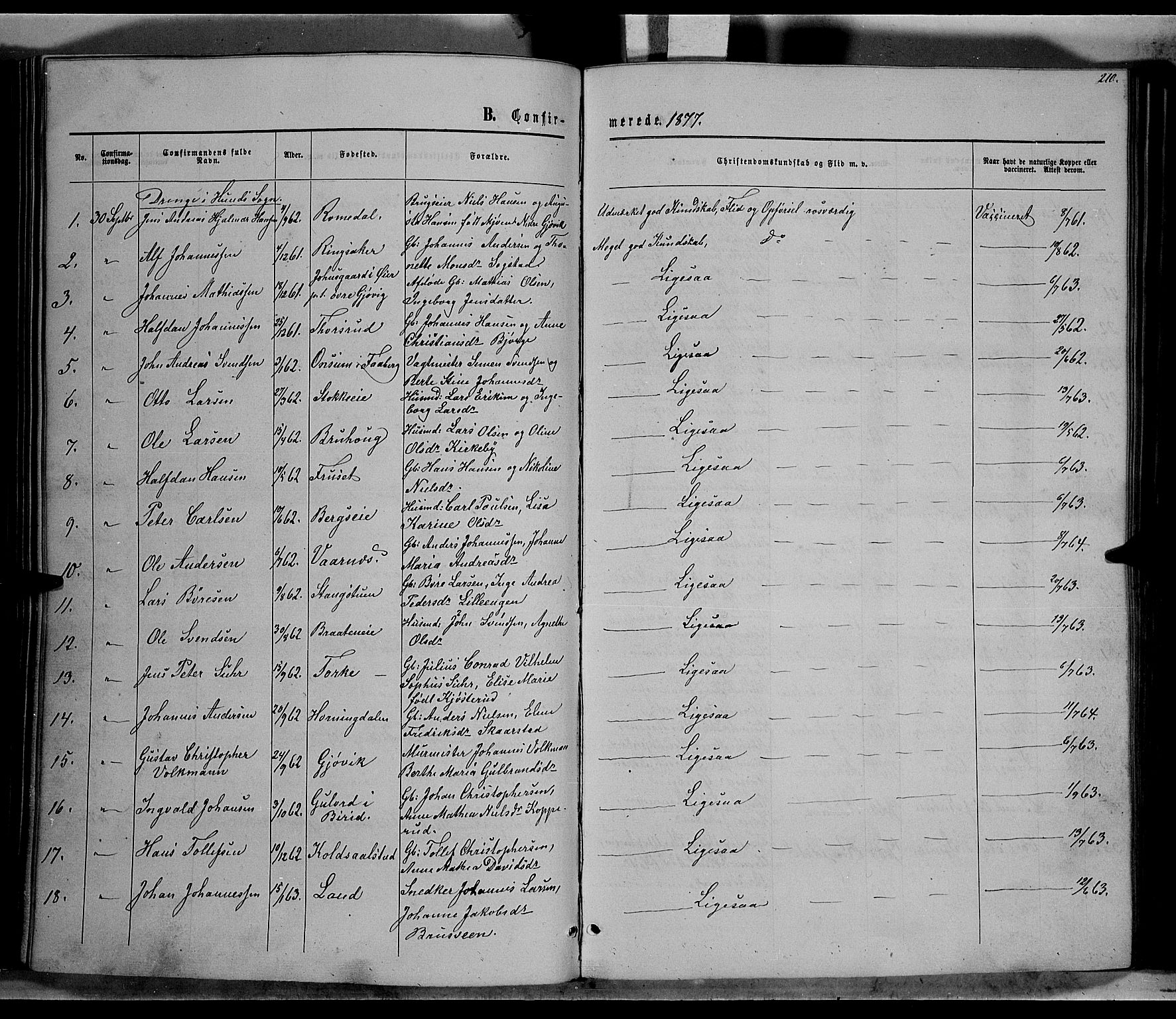 Vardal prestekontor, SAH/PREST-100/H/Ha/Hab/L0006: Parish register (copy) no. 6, 1869-1881, p. 210