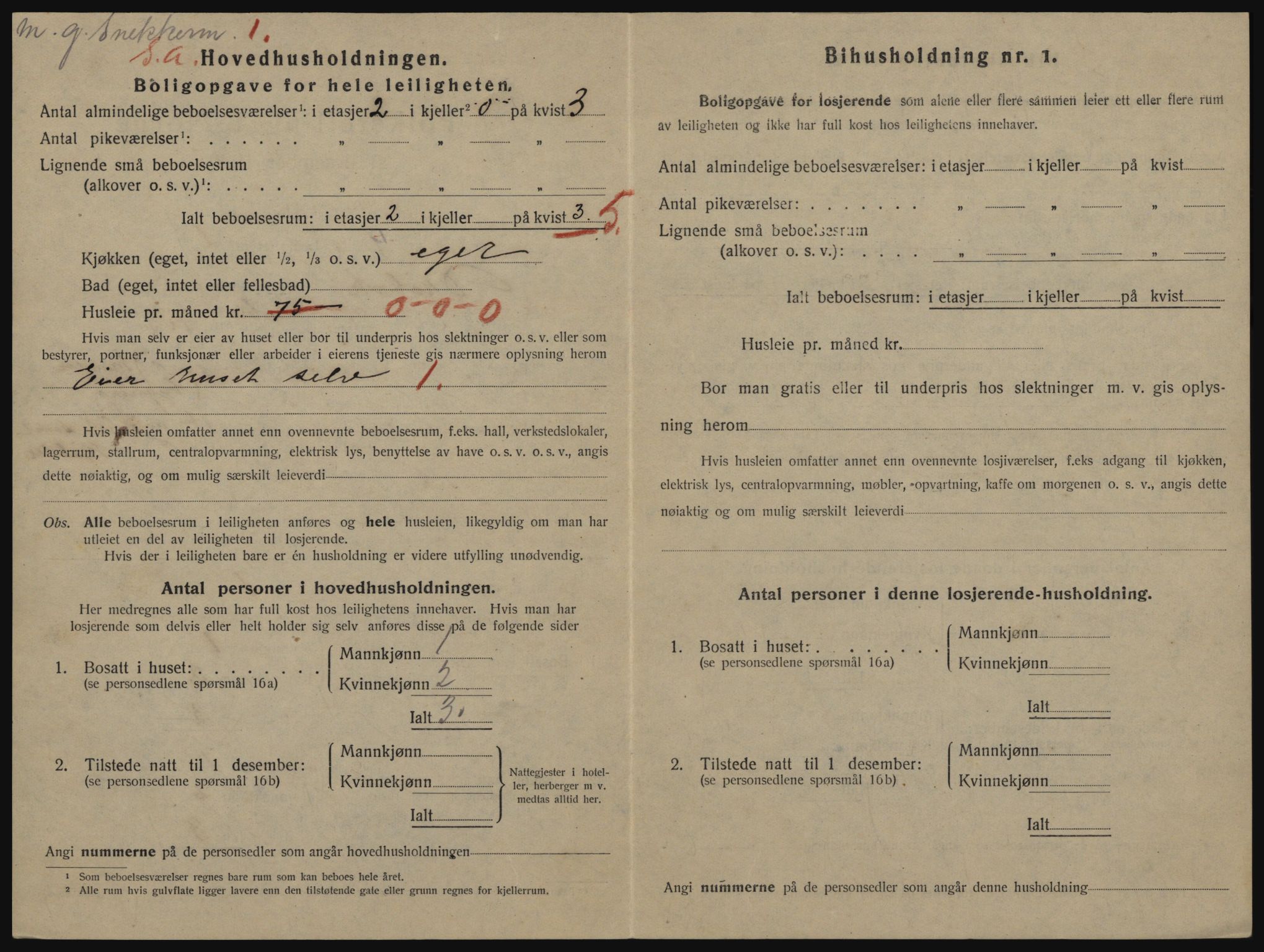 SAO, 1920 census for Drøbak, 1920, p. 1102