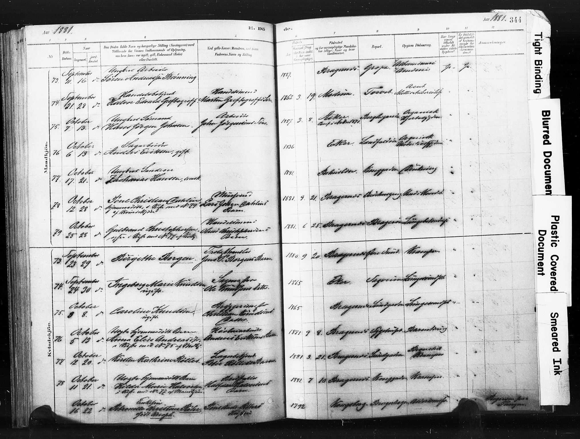 Bragernes kirkebøker, AV/SAKO-A-6/F/Fb/L0006b: Parish register (official) no. II 6B, 1878-1885, p. 344