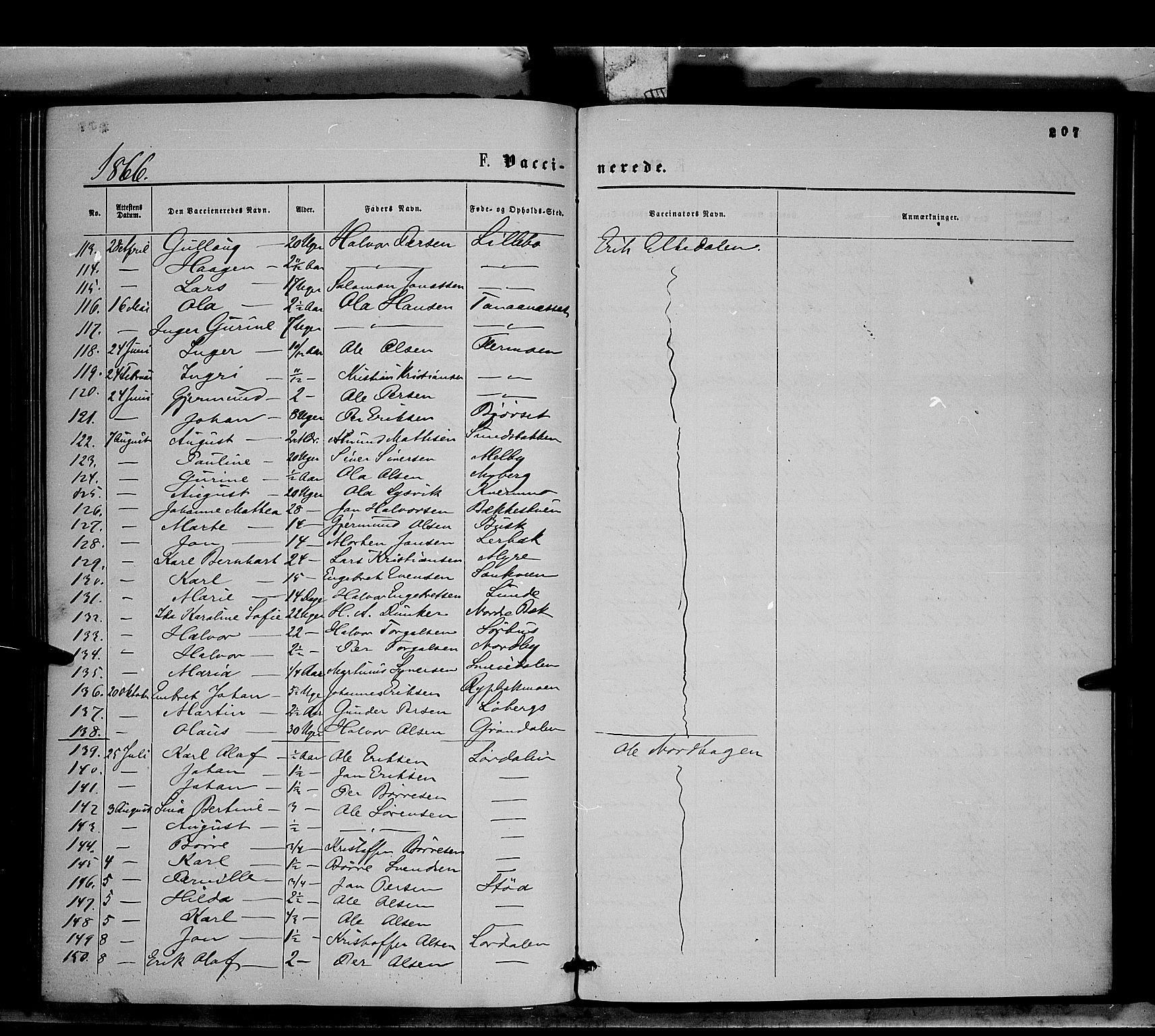 Trysil prestekontor, AV/SAH-PREST-046/H/Ha/Haa/L0006: Parish register (official) no. 6, 1866-1873, p. 207