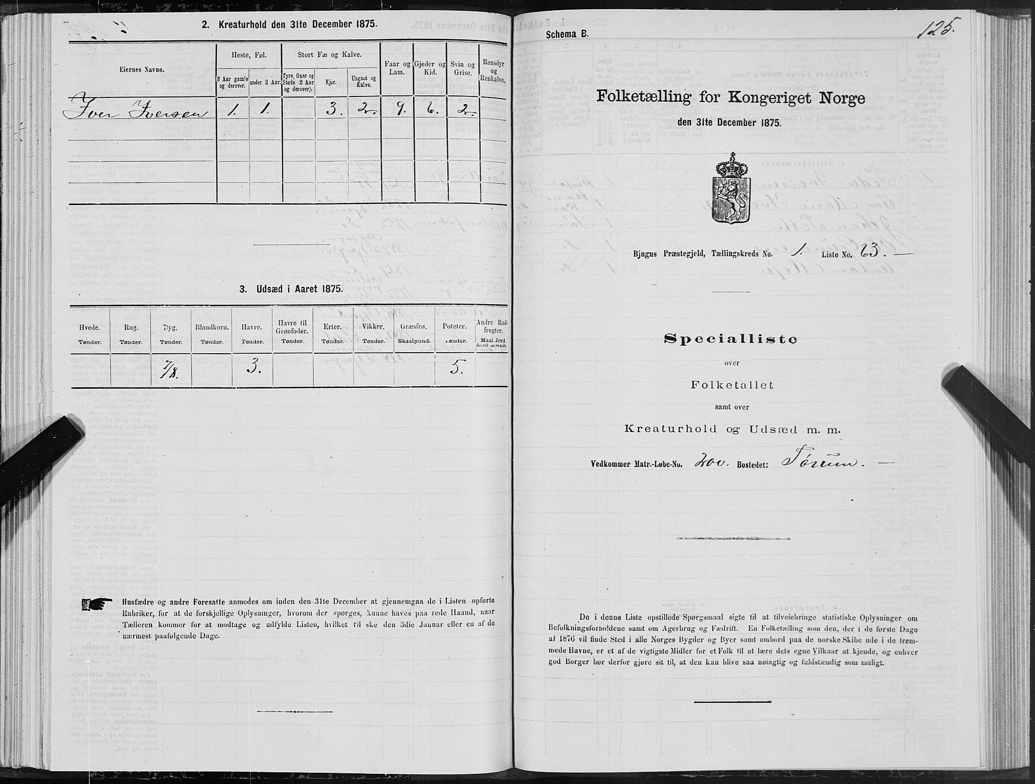 SAT, 1875 census for 1627P Bjugn, 1875, p. 1125