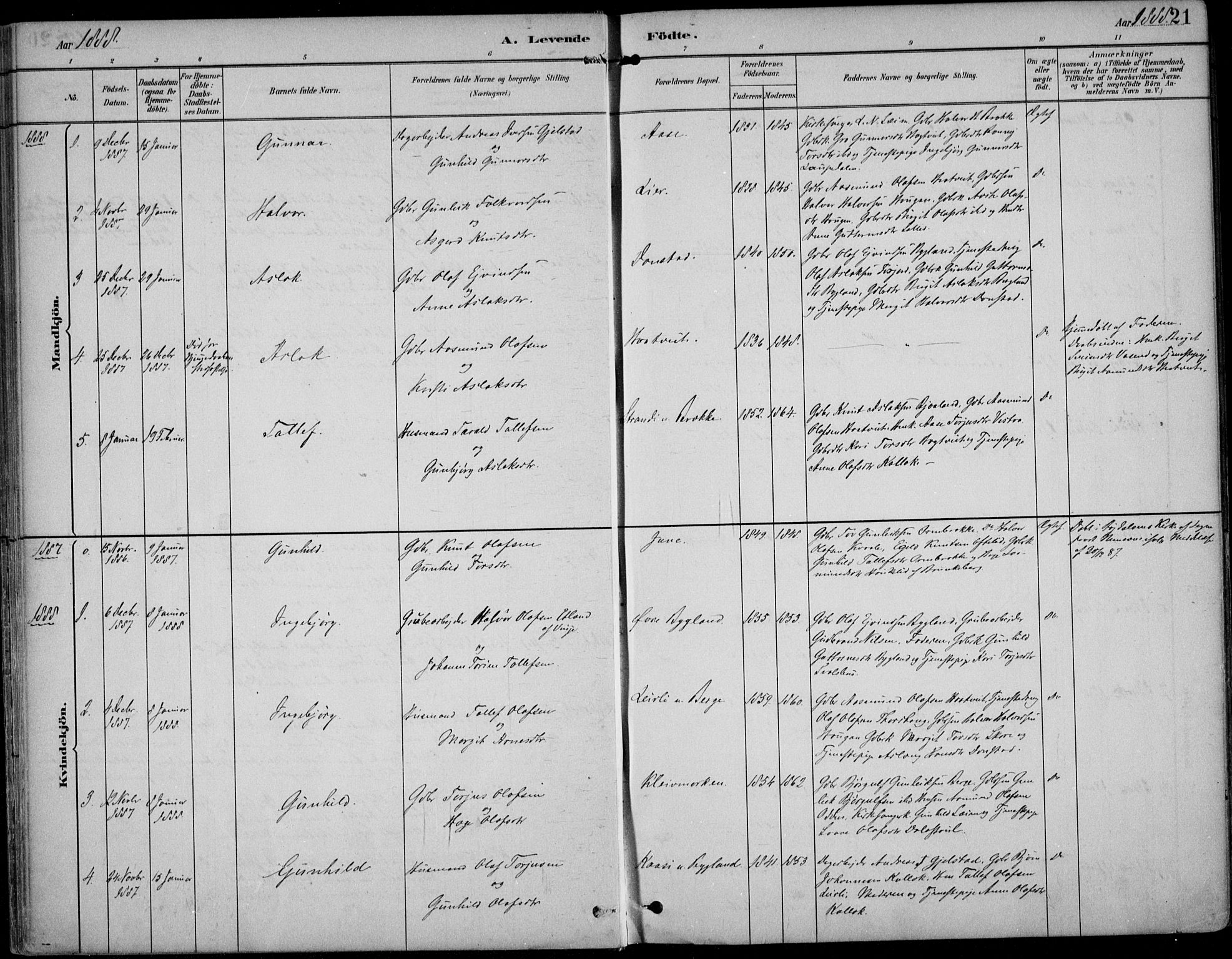 Kviteseid kirkebøker, SAKO/A-276/F/Fb/L0002: Parish register (official) no. II 2, 1882-1916, p. 21