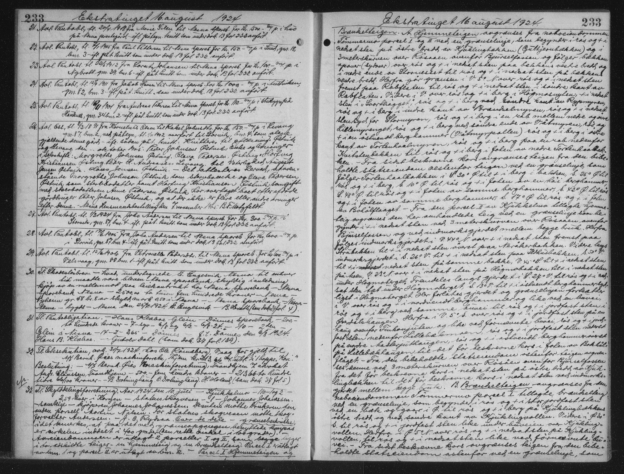 Rana sorenskriveri , AV/SAT-A-1108/1/2/2C/L0018: Mortgage book no. 18, 1923-1928, p. 233, Deed date: 16.08.1924