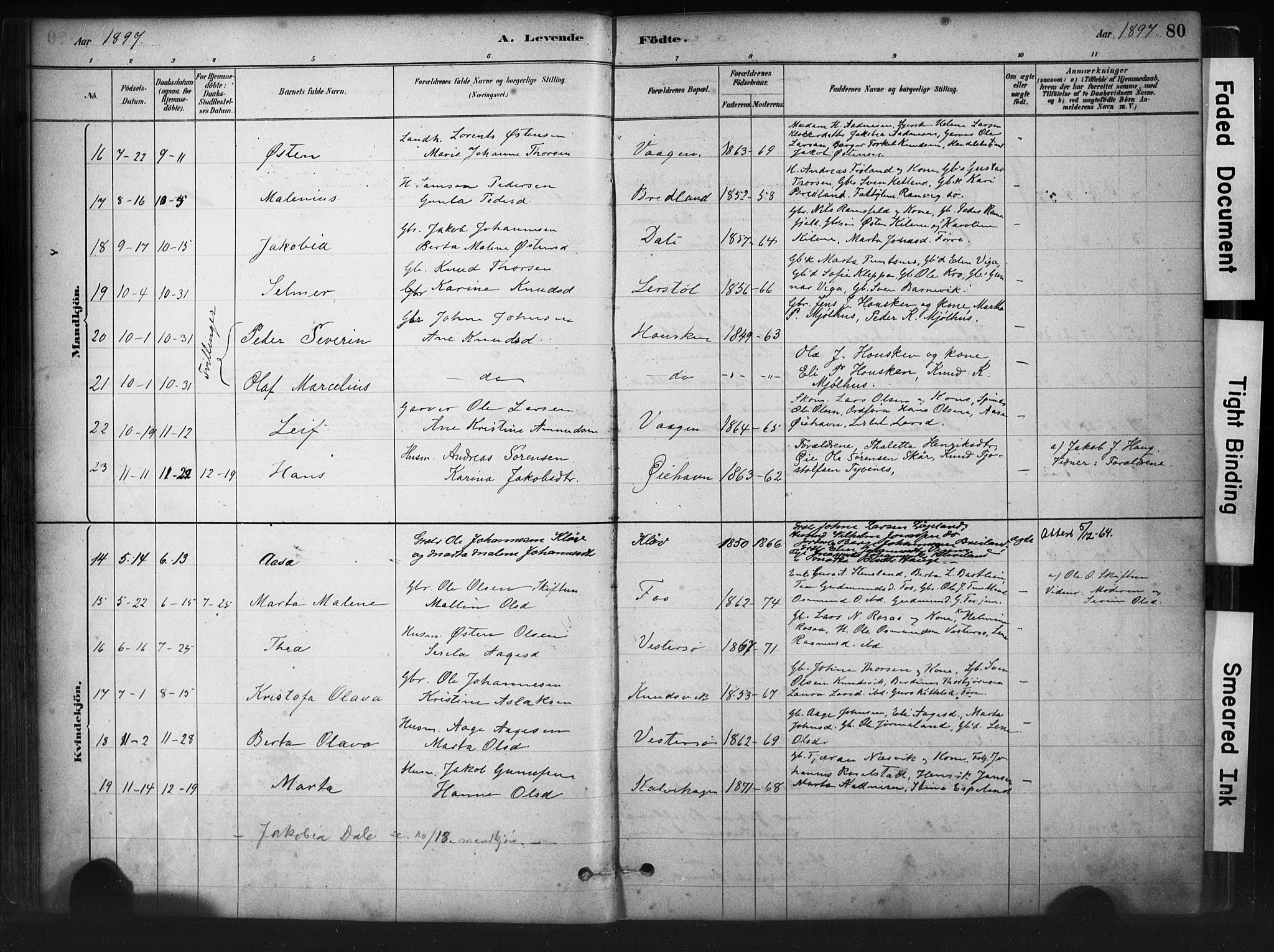 Hjelmeland sokneprestkontor, AV/SAST-A-101843/01/IV/L0014: Parish register (official) no. A 14, 1879-1900, p. 80