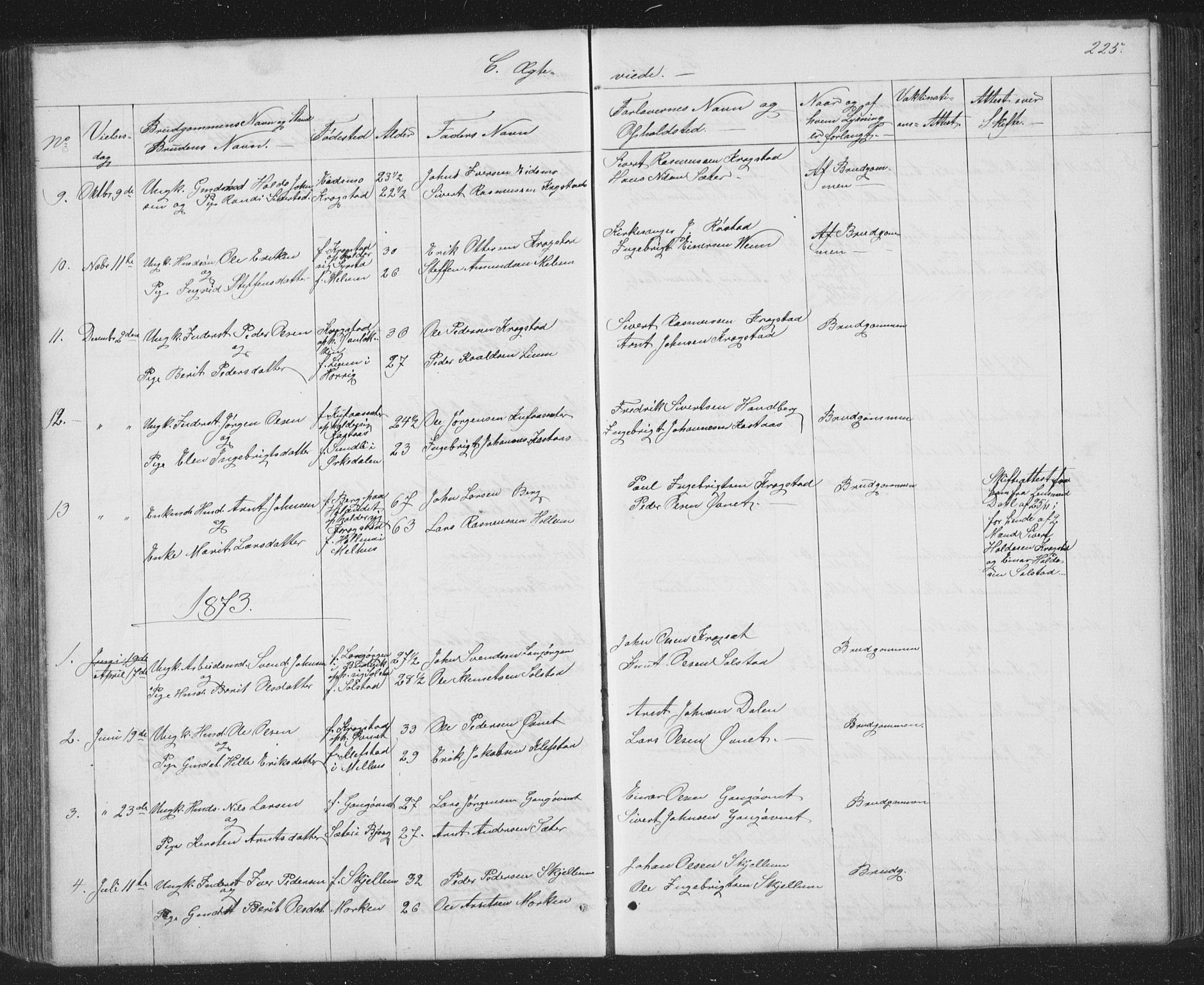Ministerialprotokoller, klokkerbøker og fødselsregistre - Sør-Trøndelag, SAT/A-1456/667/L0798: Parish register (copy) no. 667C03, 1867-1929, p. 225