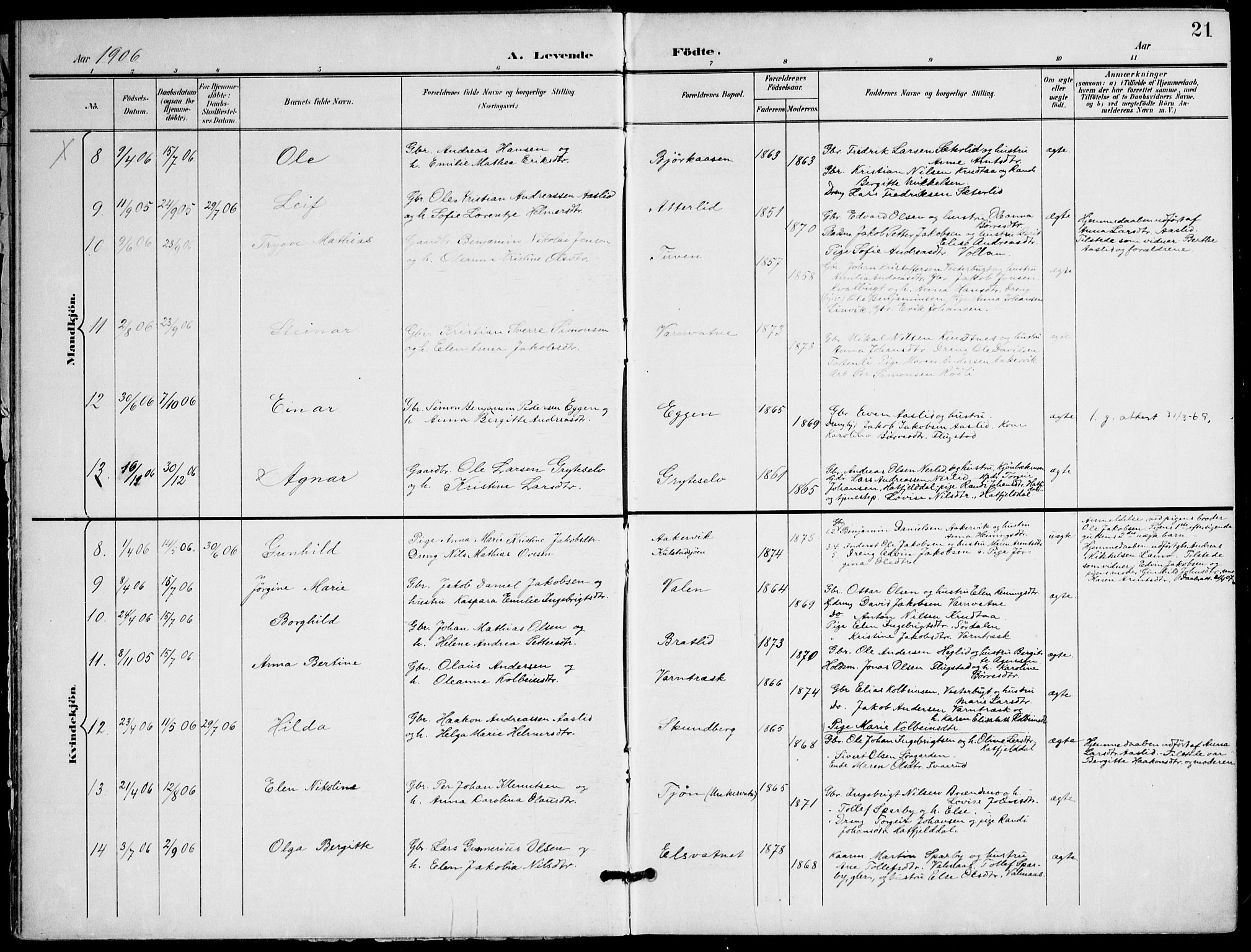 Ministerialprotokoller, klokkerbøker og fødselsregistre - Nordland, AV/SAT-A-1459/823/L0326: Parish register (official) no. 823A03, 1899-1919, p. 21