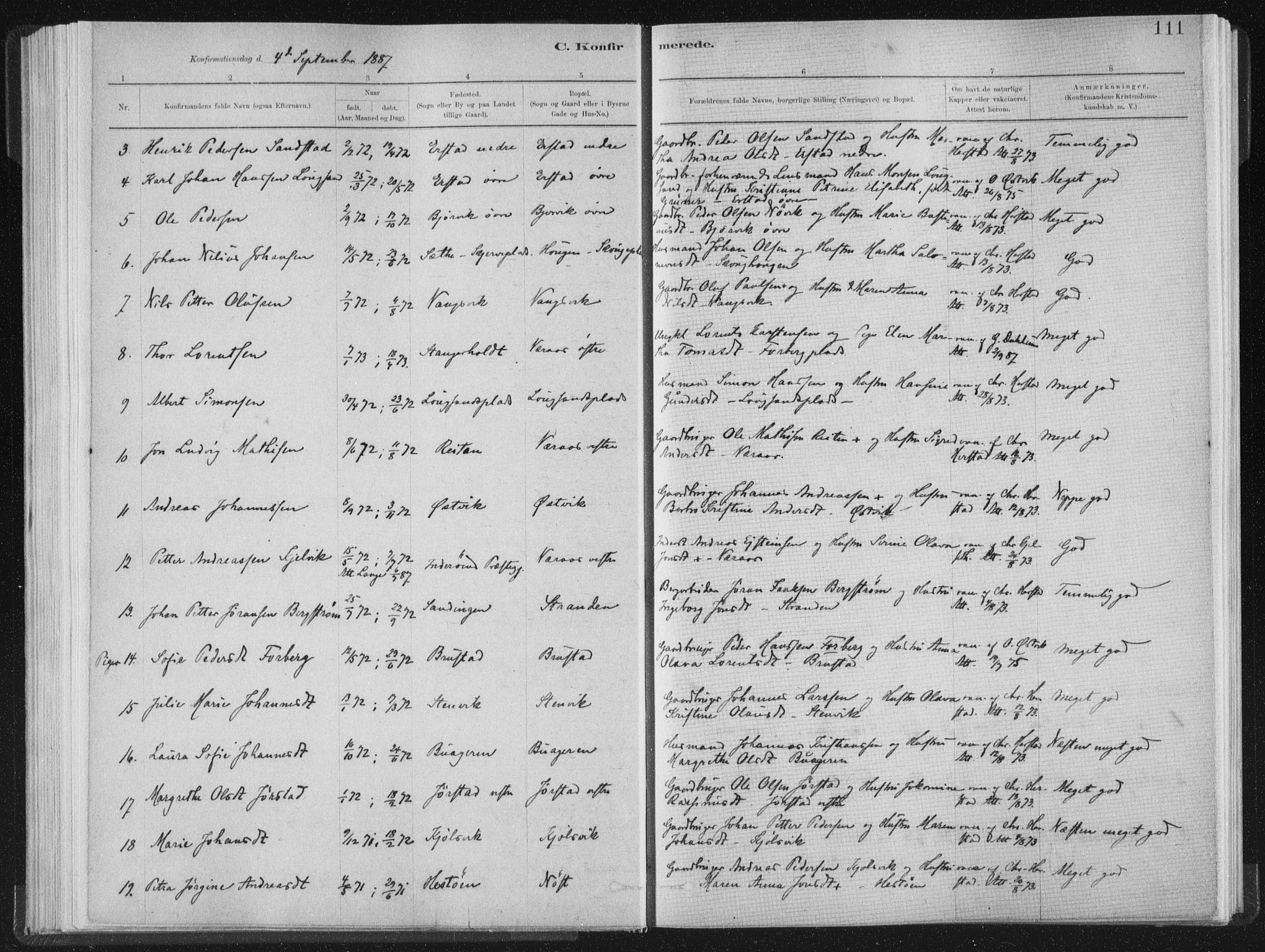 Ministerialprotokoller, klokkerbøker og fødselsregistre - Nord-Trøndelag, SAT/A-1458/722/L0220: Parish register (official) no. 722A07, 1881-1908, p. 111