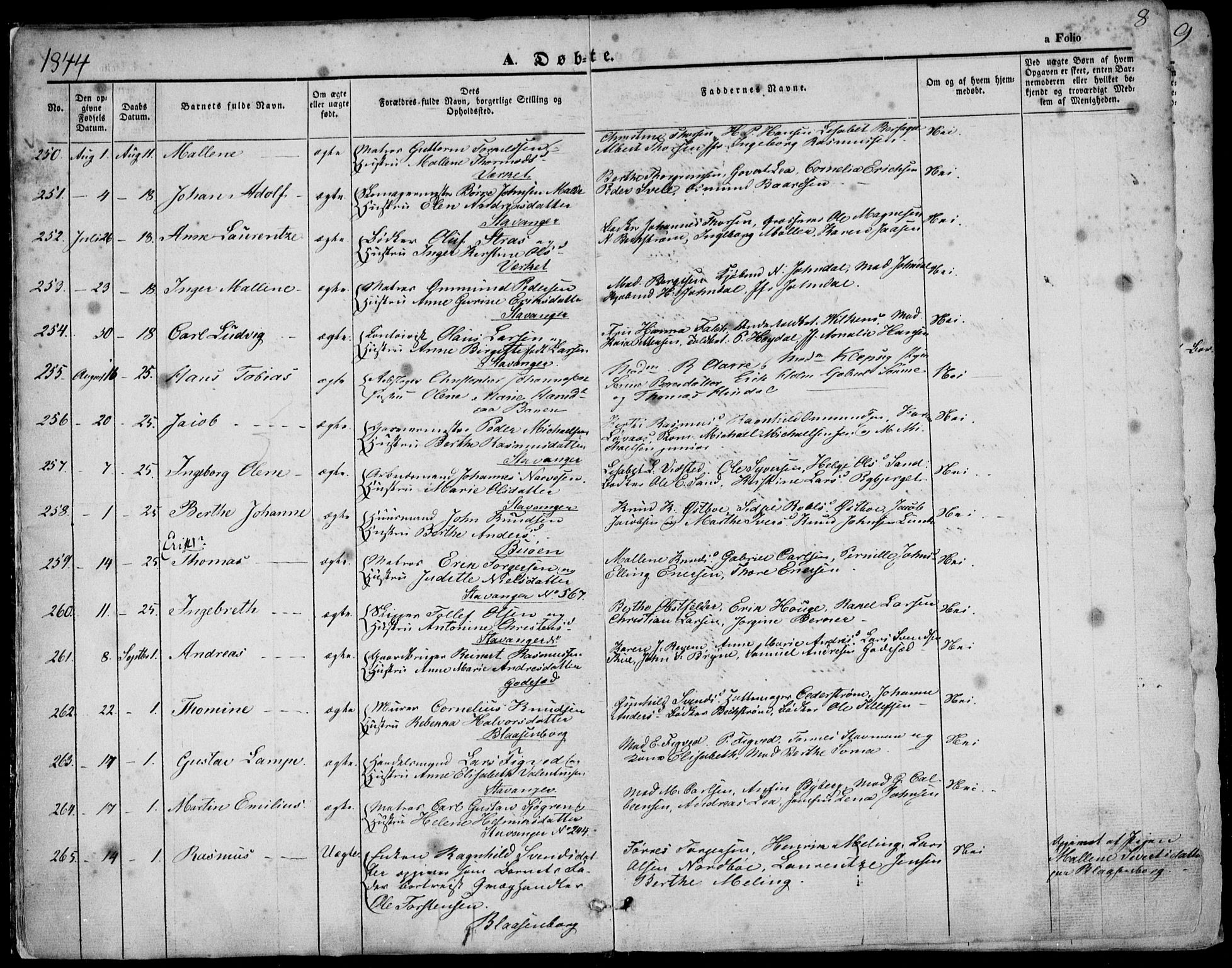 Domkirken sokneprestkontor, SAST/A-101812/001/30/30BA/L0016: Parish register (official) no. A 15, 1844-1854, p. 8