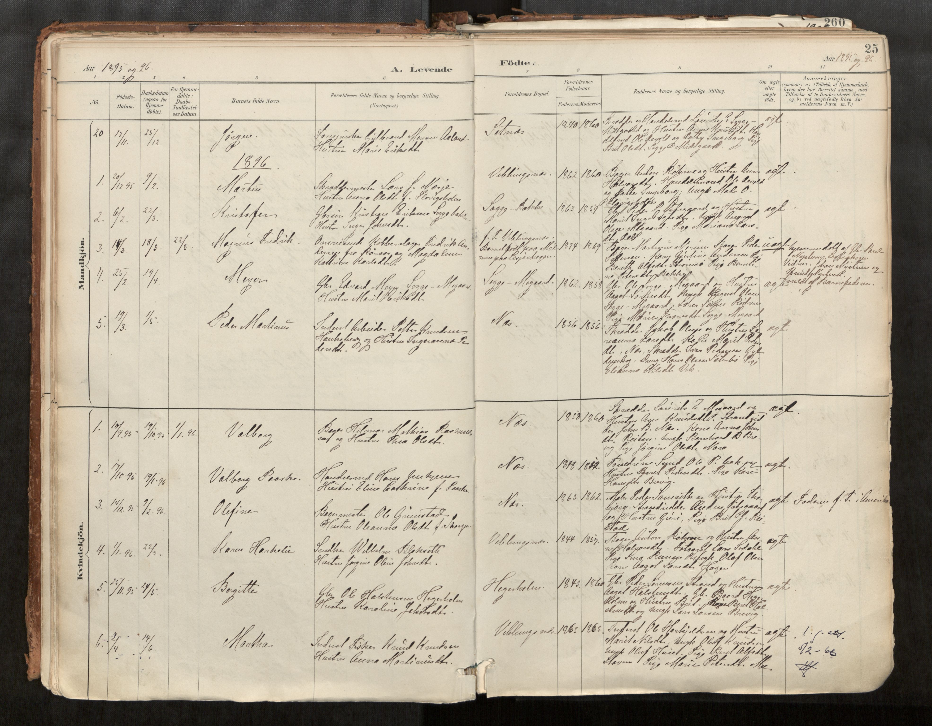 Ministerialprotokoller, klokkerbøker og fødselsregistre - Møre og Romsdal, AV/SAT-A-1454/544/L0585: Parish register (official) no. 544A06, 1887-1924, p. 25