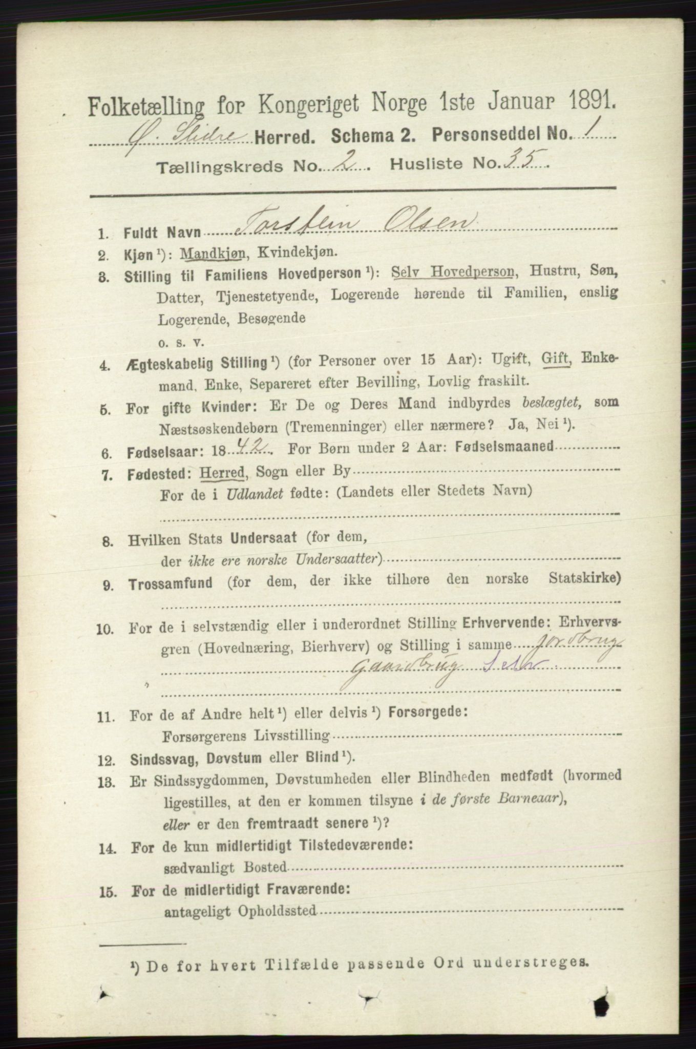 RA, 1891 census for 0544 Øystre Slidre, 1891, p. 442