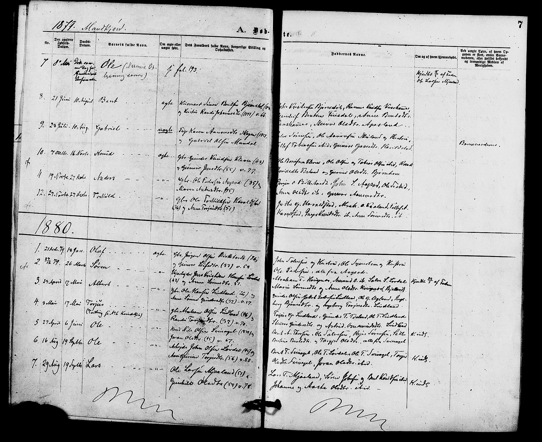 Holum sokneprestkontor, SAK/1111-0022/F/Fa/Fab/L0006: Parish register (official) no. A 6, 1875-1886, p. 7