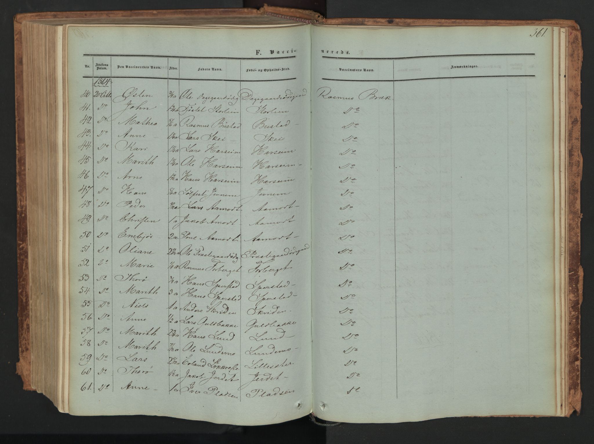 Skjåk prestekontor, SAH/PREST-072/H/Ha/Haa/L0001: Parish register (official) no. 1, 1863-1879, p. 361