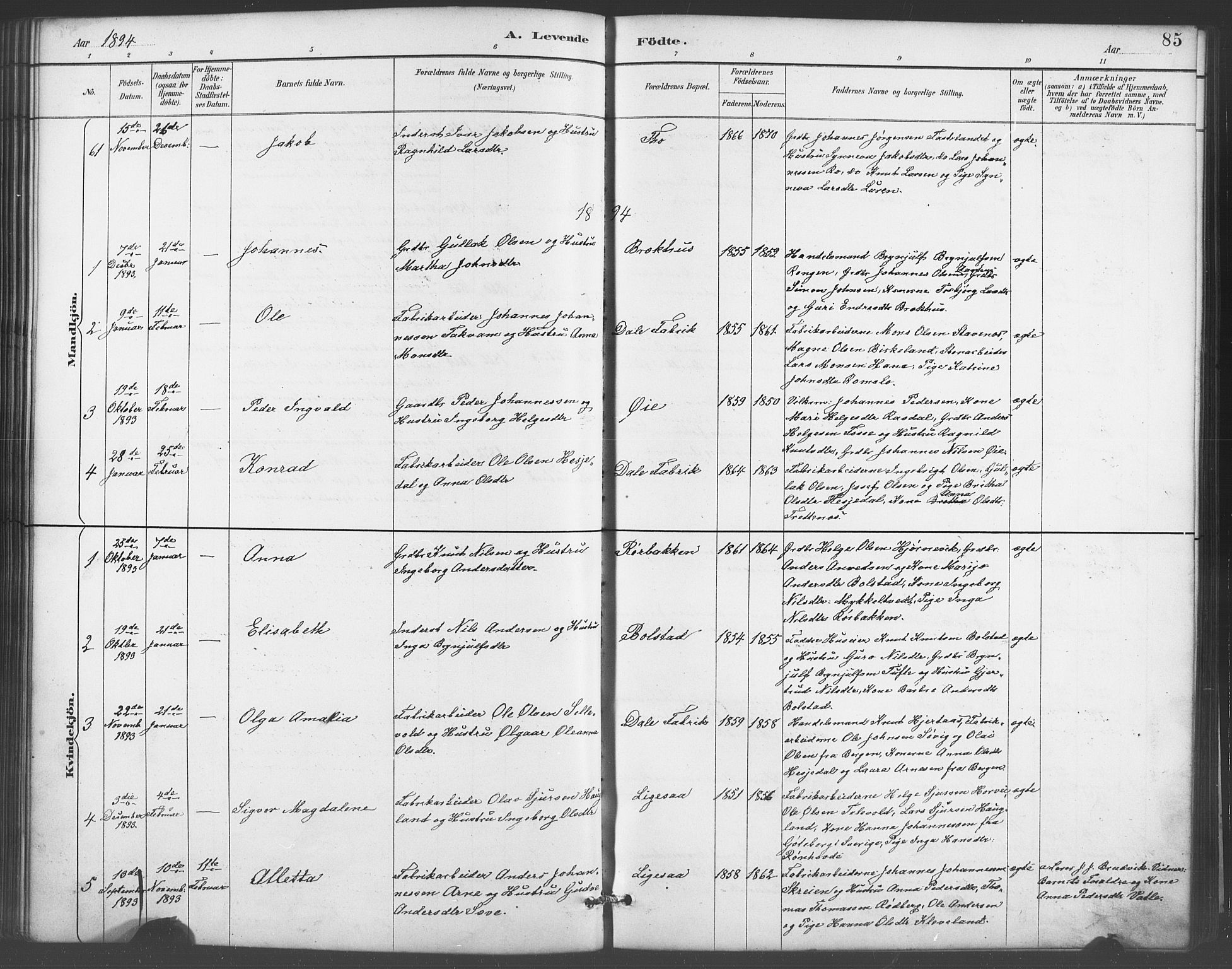 Evanger sokneprestembete, SAB/A-99924: Parish register (copy) no. A 4, 1887-1897, p. 85
