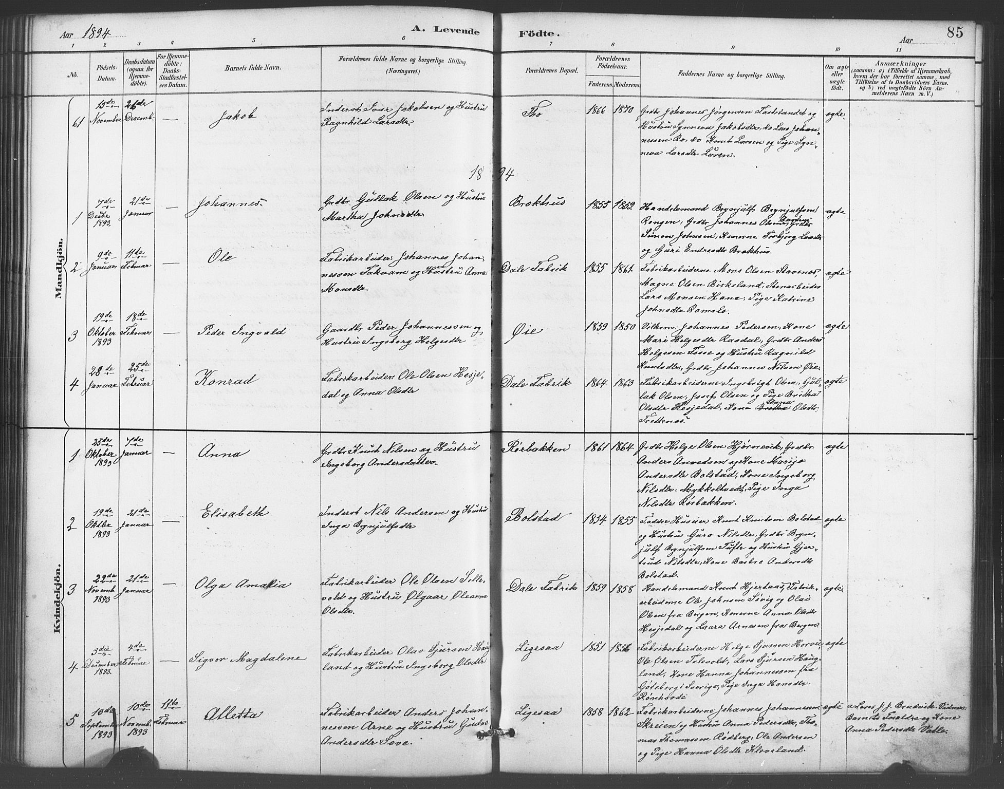 Evanger sokneprestembete, AV/SAB-A-99924: Parish register (copy) no. A 4, 1887-1897, p. 85