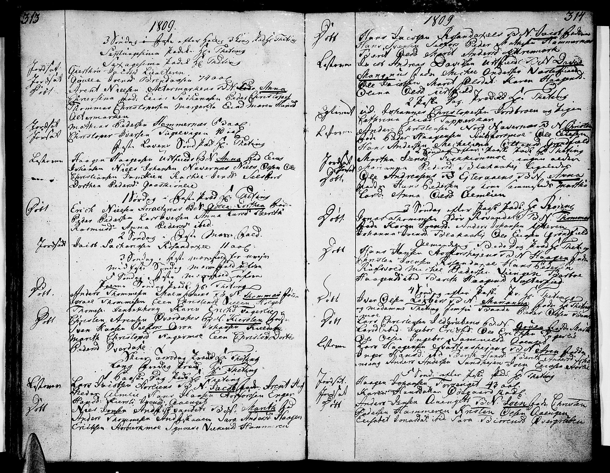 Ministerialprotokoller, klokkerbøker og fødselsregistre - Nordland, SAT/A-1459/825/L0351: Parish register (official) no. 825A06 /2, 1807-1819, p. 313-314